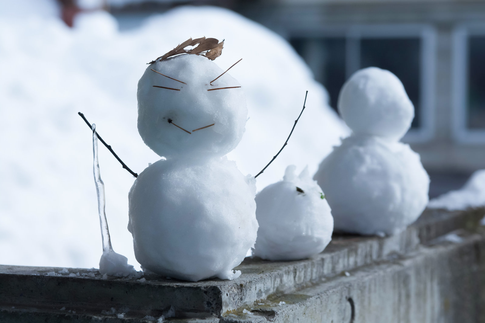 「ニヒルな雪だるま」の写真