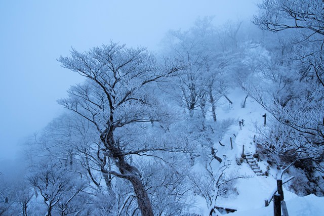 丹沢雪景色の写真を無料ダウンロード フリー素材 ぱくたそ 丹沢雪景色の写真を無料ダウンロード フリー素材 ぱくたそ