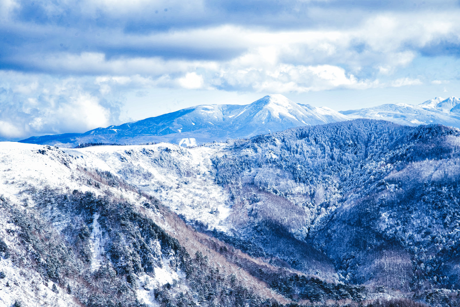 「美ヶ原から望む蓼科山（タテシナヤマ）」の写真