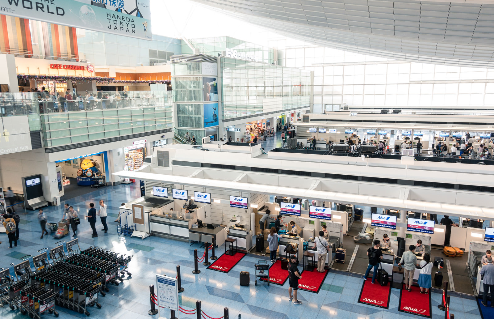 「第三ターミナルの手荷物カウンター（羽田空港） | フリー素材のぱくたそ」の写真