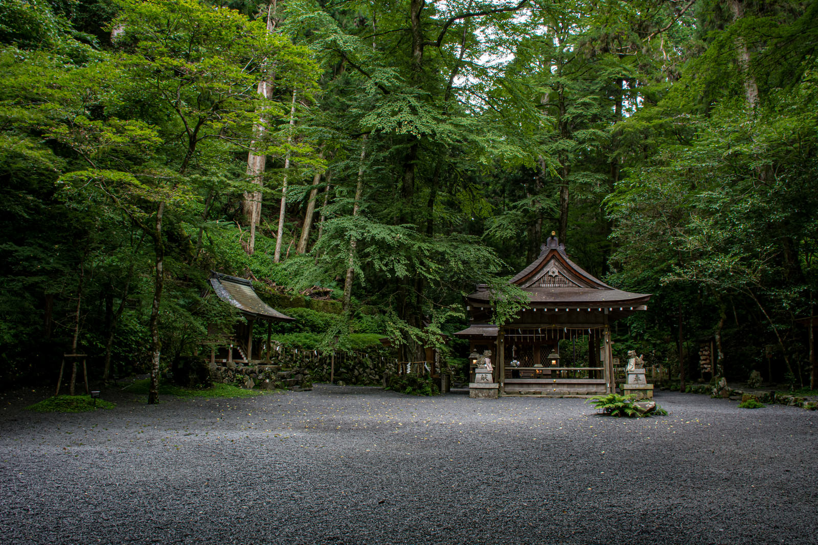 「早朝の静けさの中の貴船神社奥宮（京都） | フリー素材のぱくたそ」の写真