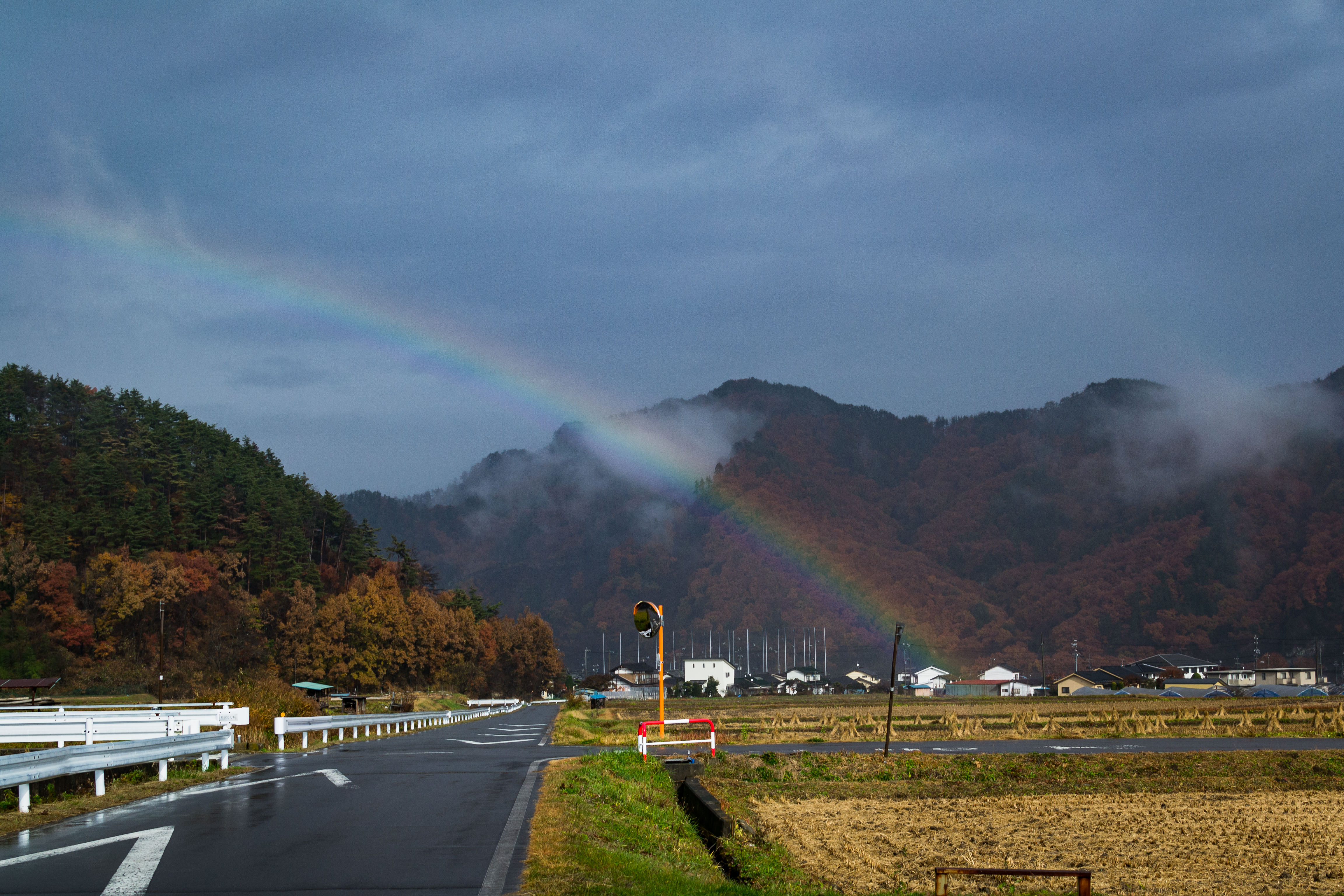 雨上がりの田んぼと虹のフリー素材 ぱくたそ