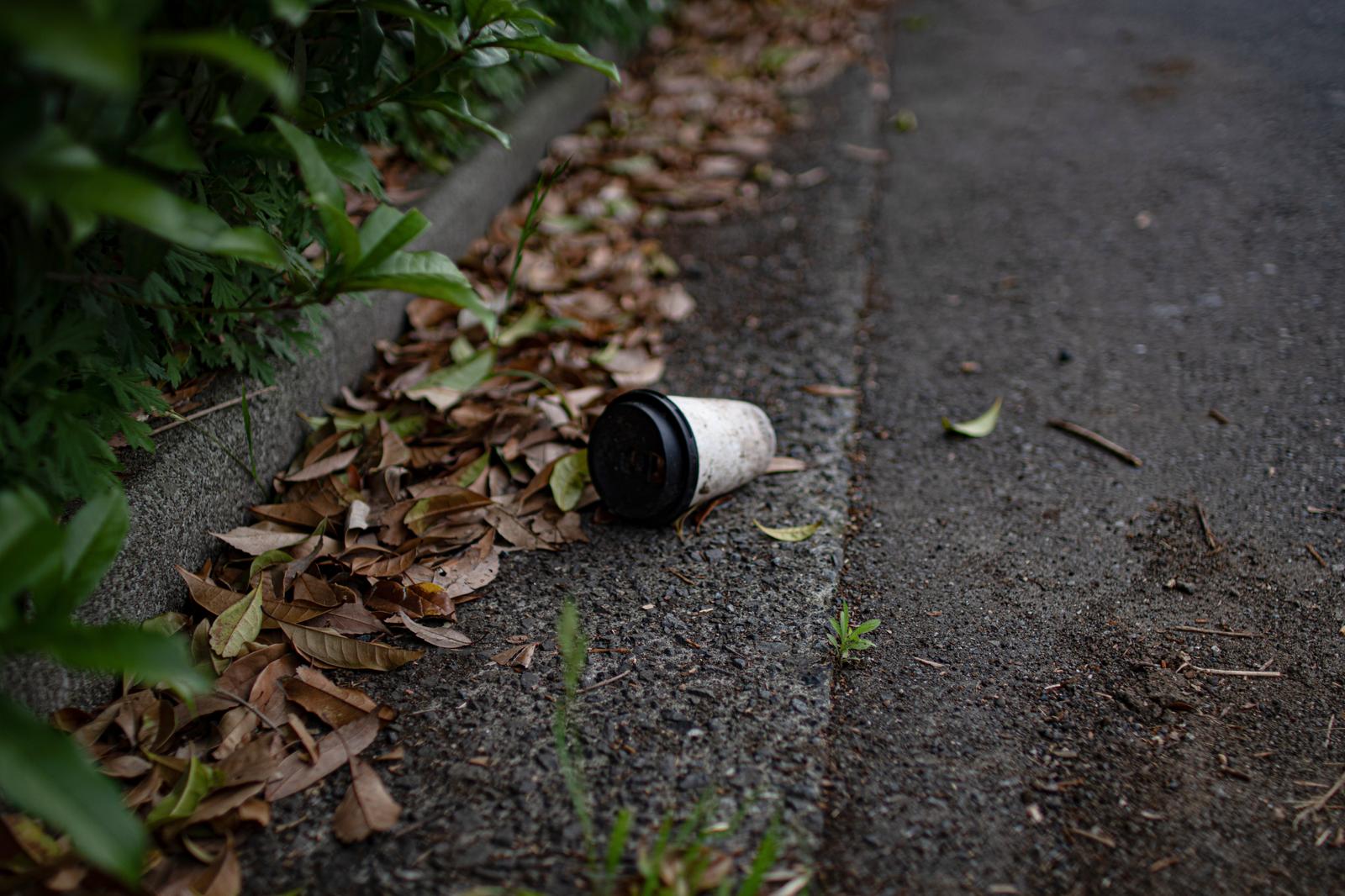 天然素材こもの　追加写真 落ち葉が積もる歩道に無造作に捨てられている紙コップの無料の