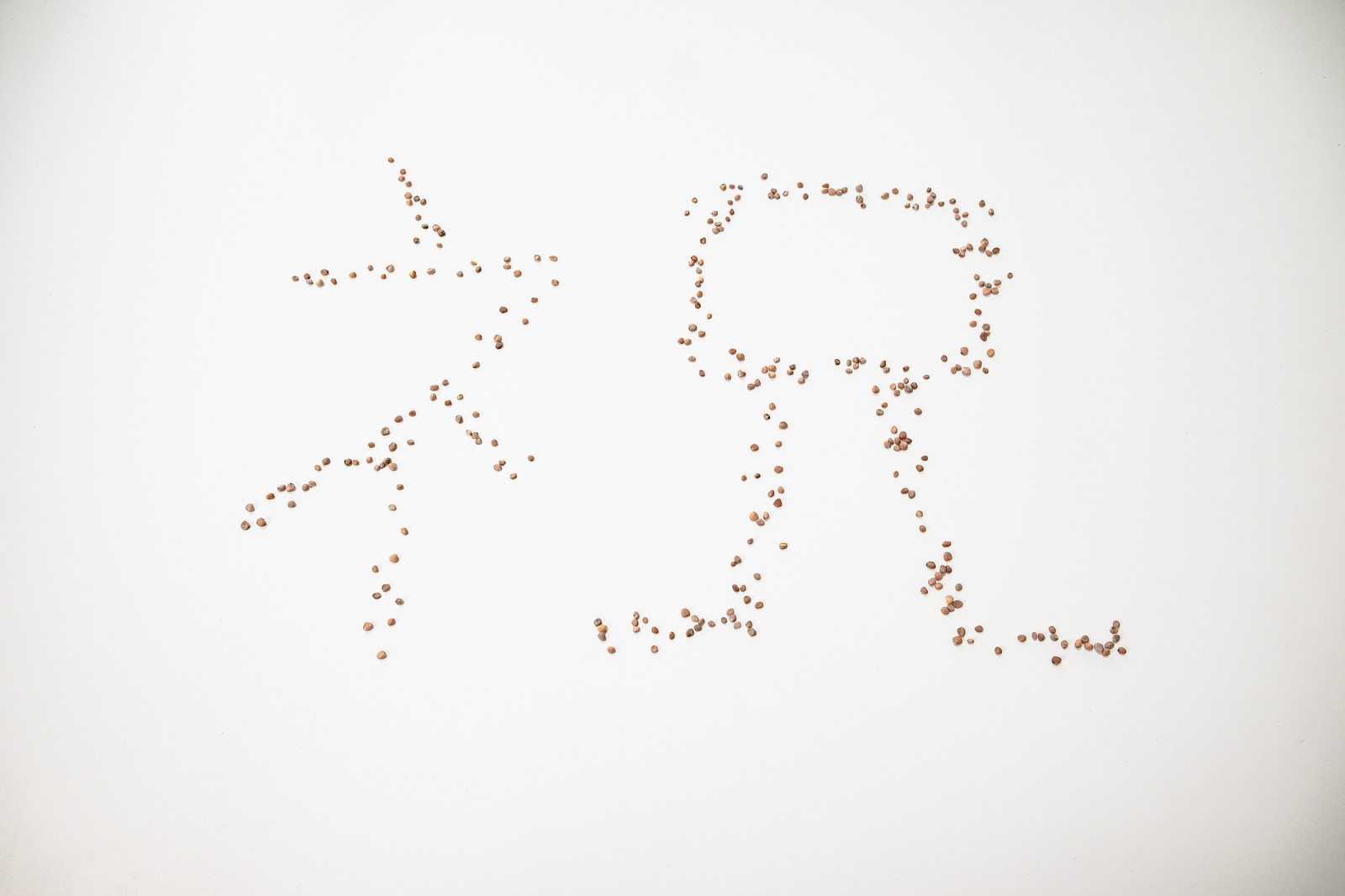 「小さい種で作った「祝」の文字 | フリー素材のぱくたそ」の写真