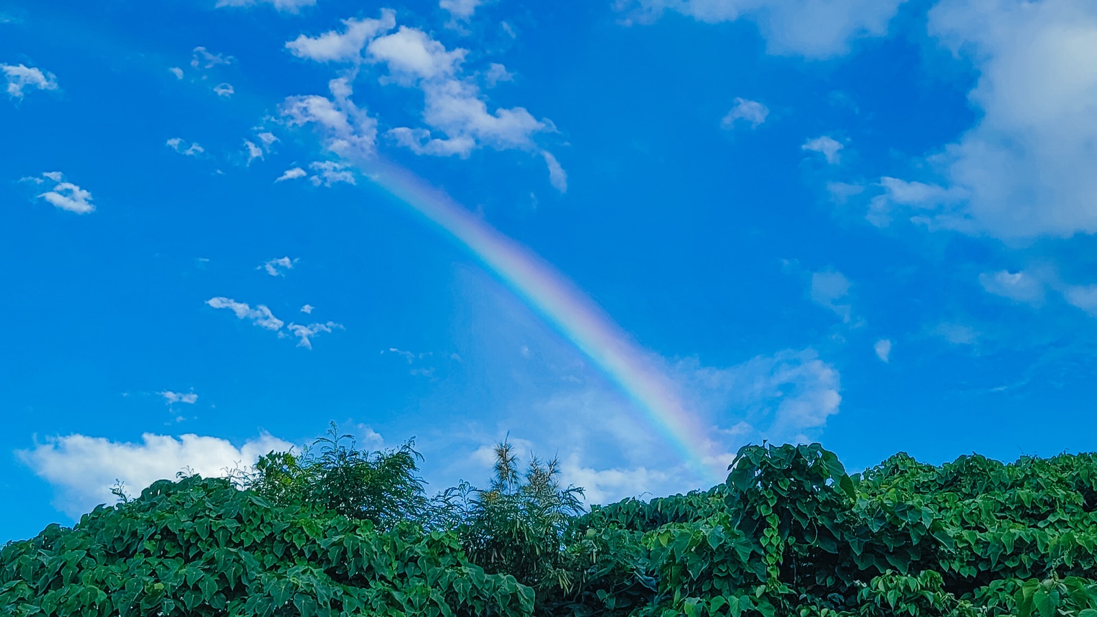 「青空と虹の端」の写真