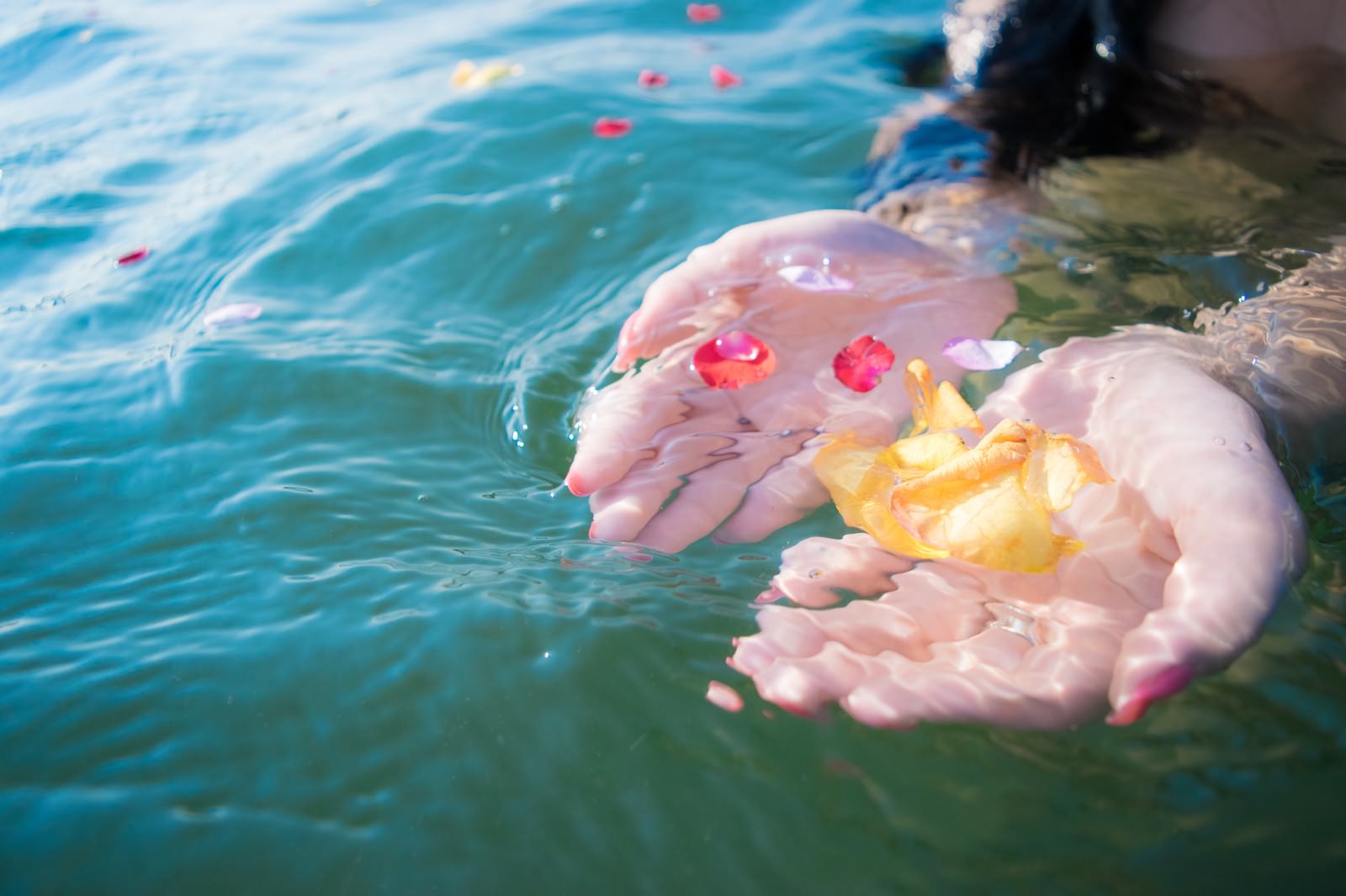 水面に浮いた花びらをすくいあげるの写真を無料ダウンロード フリー素材 ぱくたそ