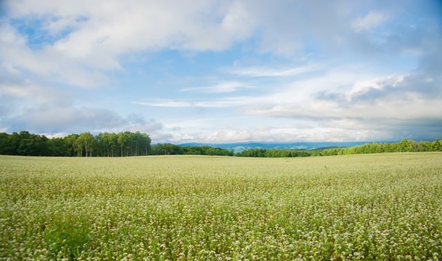 ãåºå¤§ã«åºããçã®é¢¨æ¯ãã®ããªã¼åçç´ æ