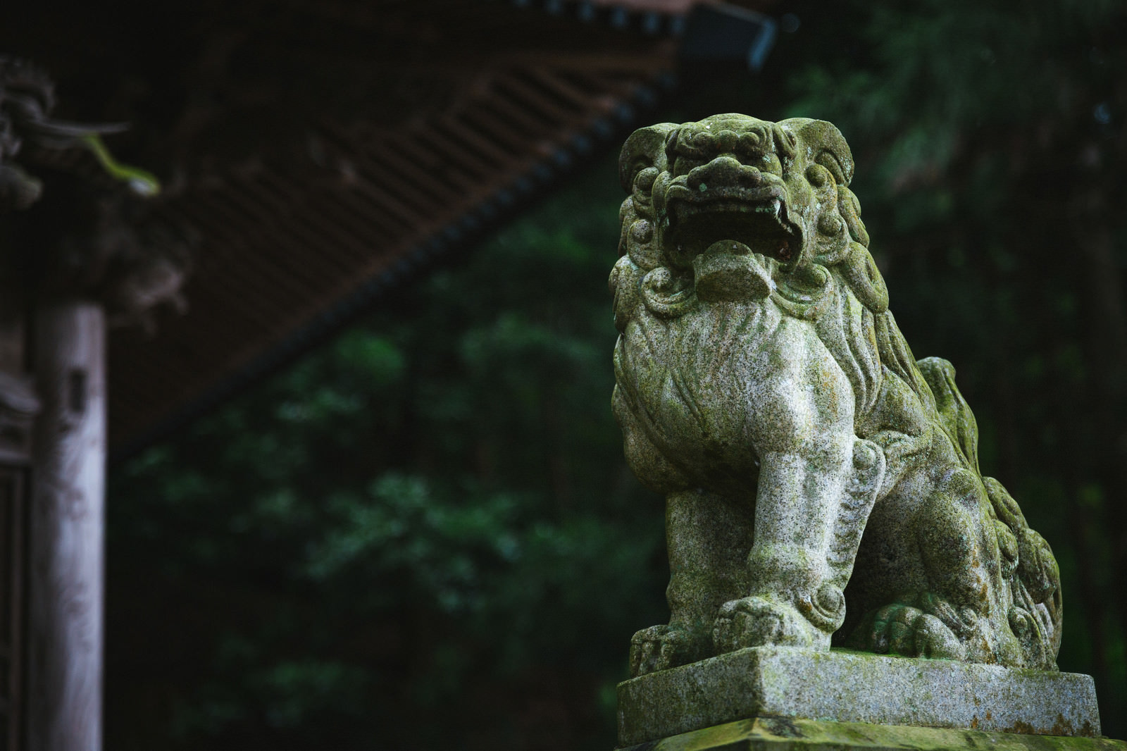 王城山神社 の狛犬の写真を無料ダウンロード フリー素材 ぱくたそ