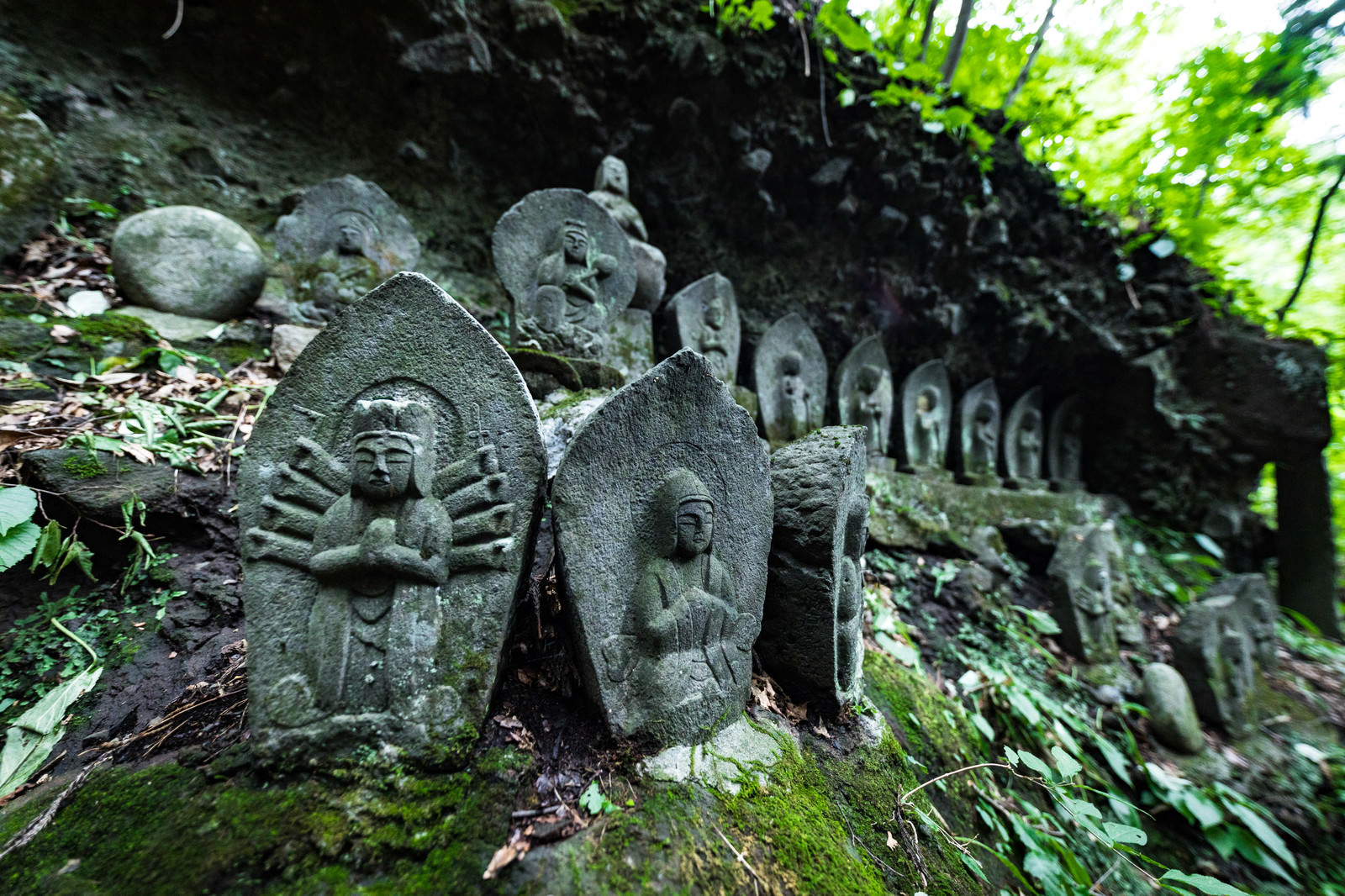 ãæ»æ²¢è¦³é³ç³ä»ç¾¤ã®æ§å­ãã®åç