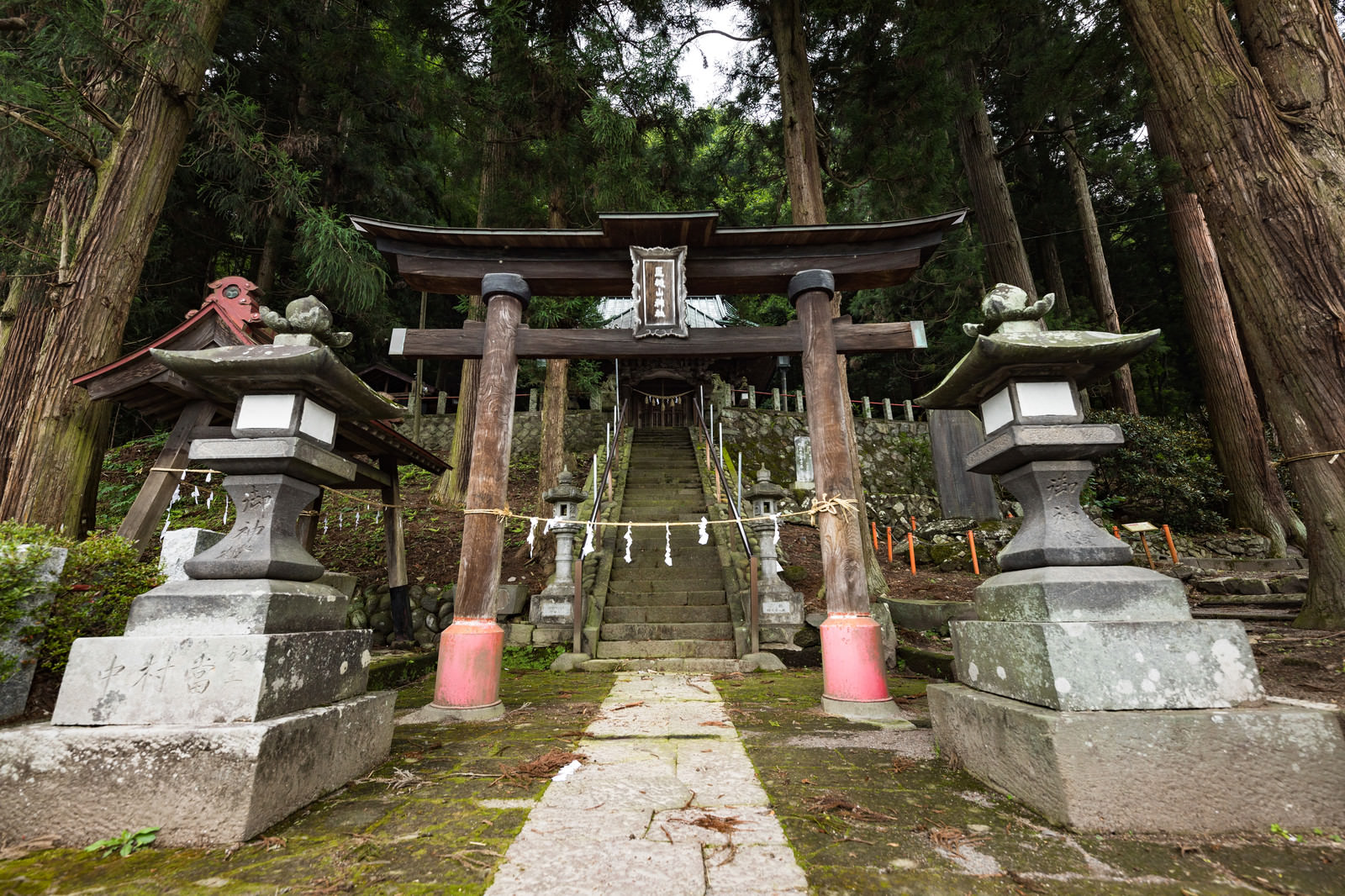 50日祭での玉串料の相場｜神道/天理教・のしや封筒の書き方