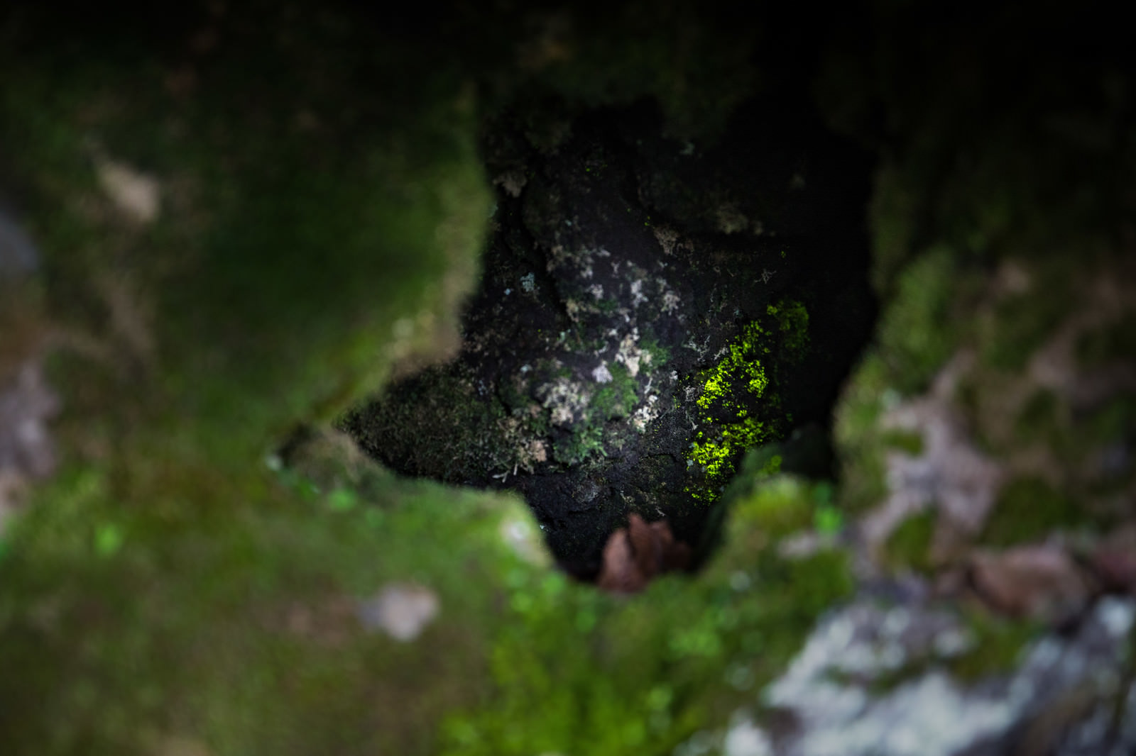 naganoharahikarigokeFTHG2810_T