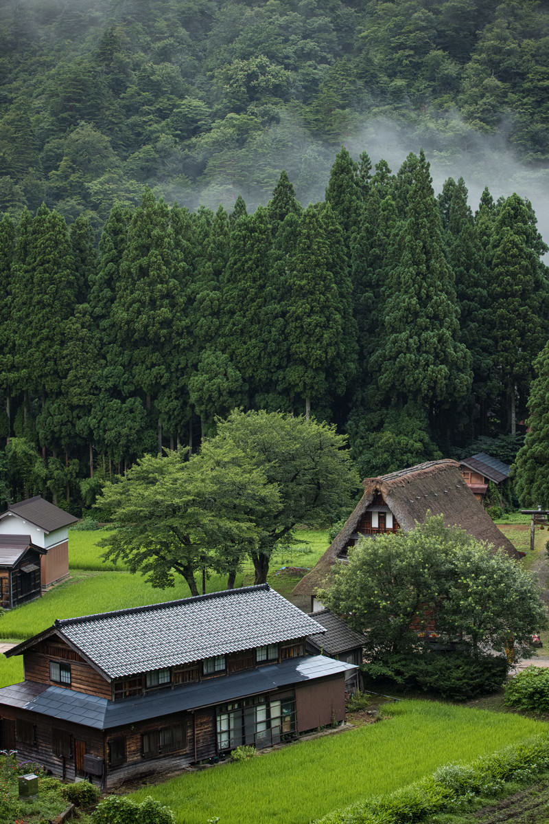 「懐かしい日本の田舎の朝（菅沼合掌造り集落）」の写真