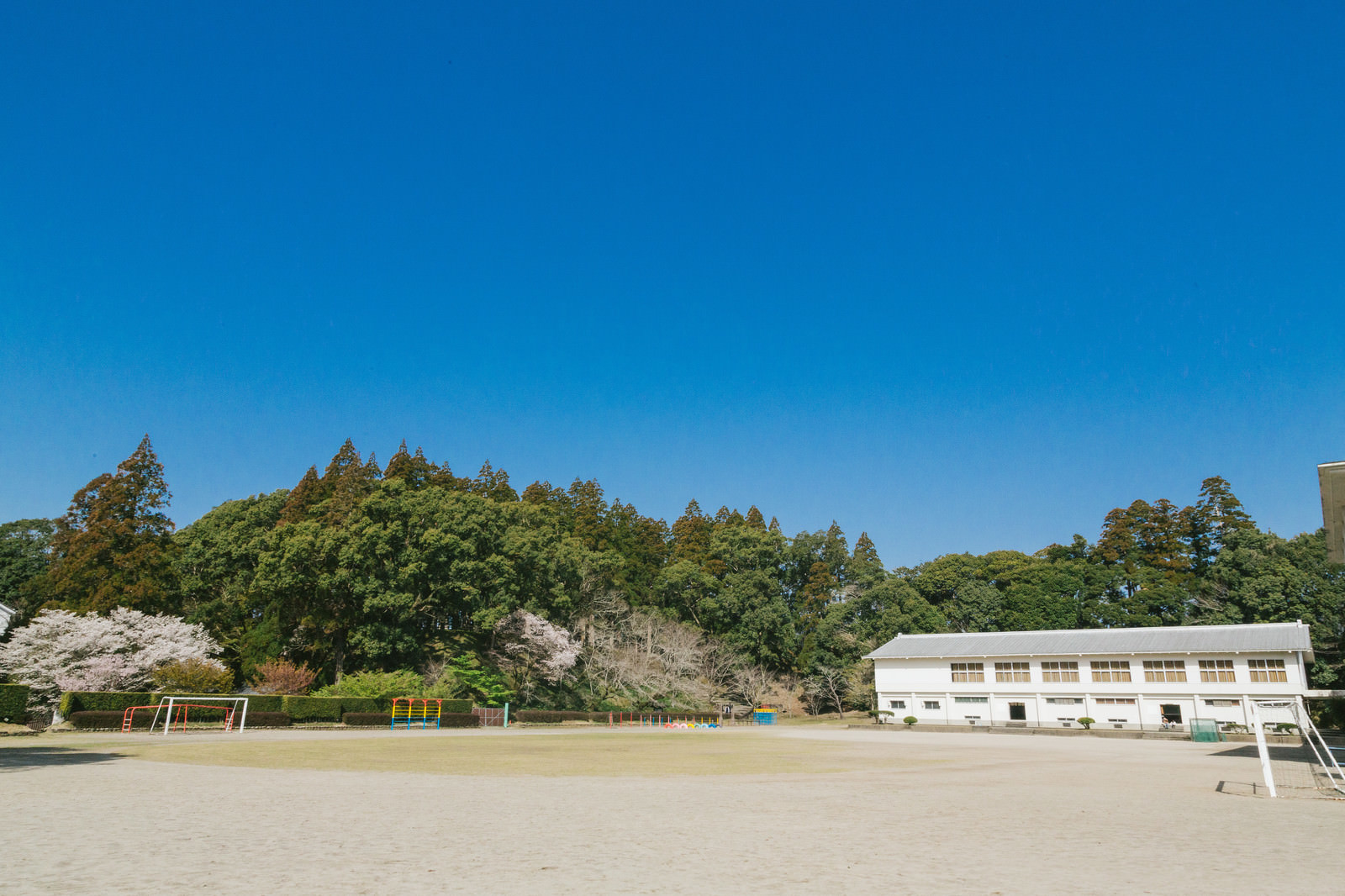 「城址にある飫肥小学校の校庭」の写真