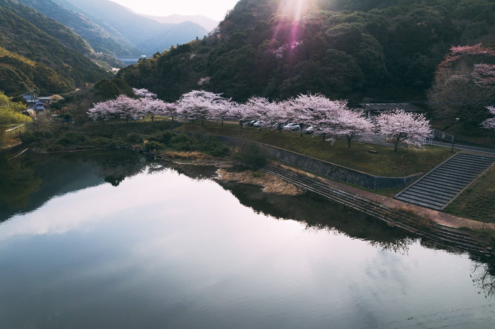 「朝日と桜が咲く時期と内ヶ磯ダム | フリー素材のぱくたそ」の写真