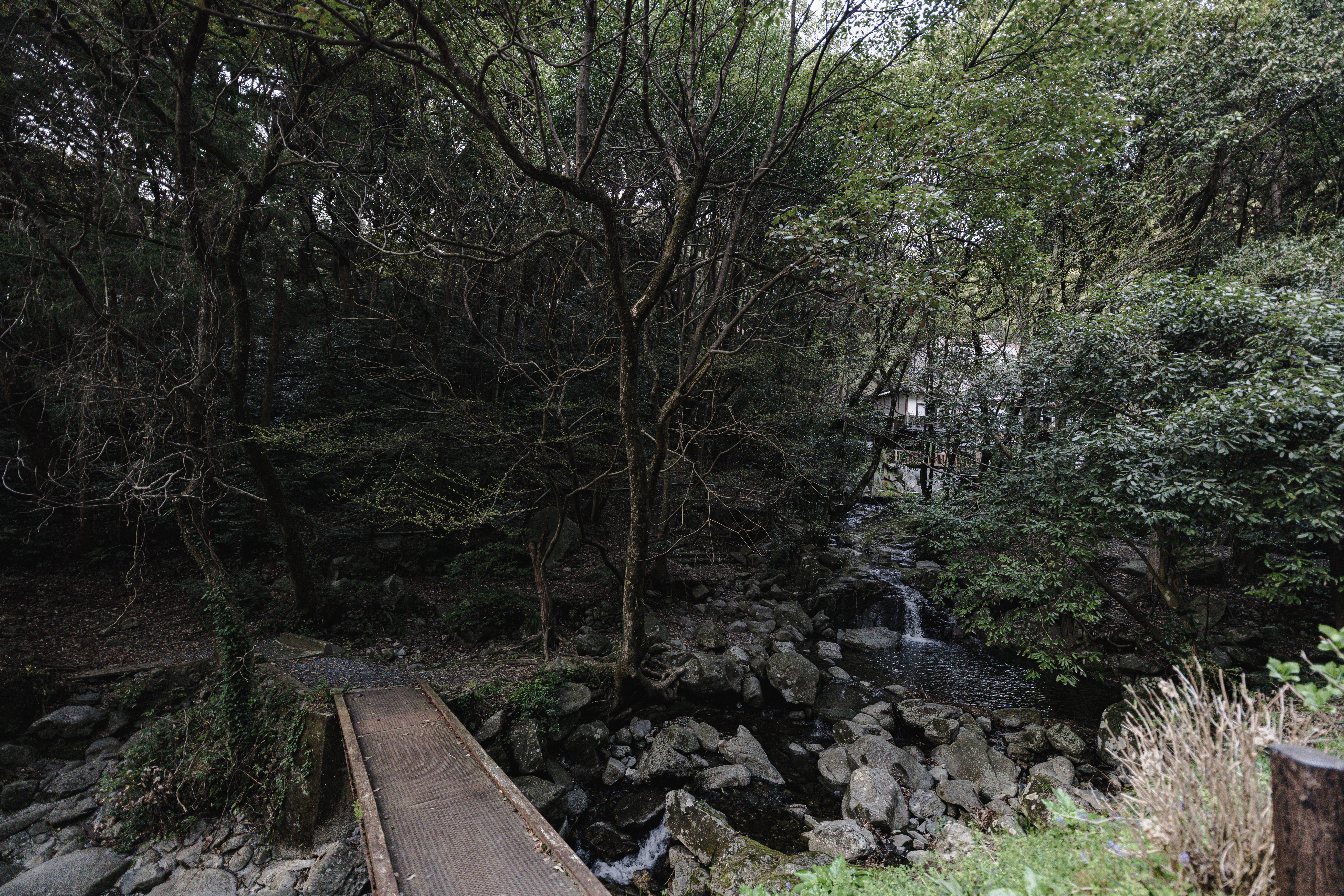 竜王峡キャンプ村の川の写真素材 ぱくたそ 竜王峡キャンプ村の川の写真素材 ぱくたそ