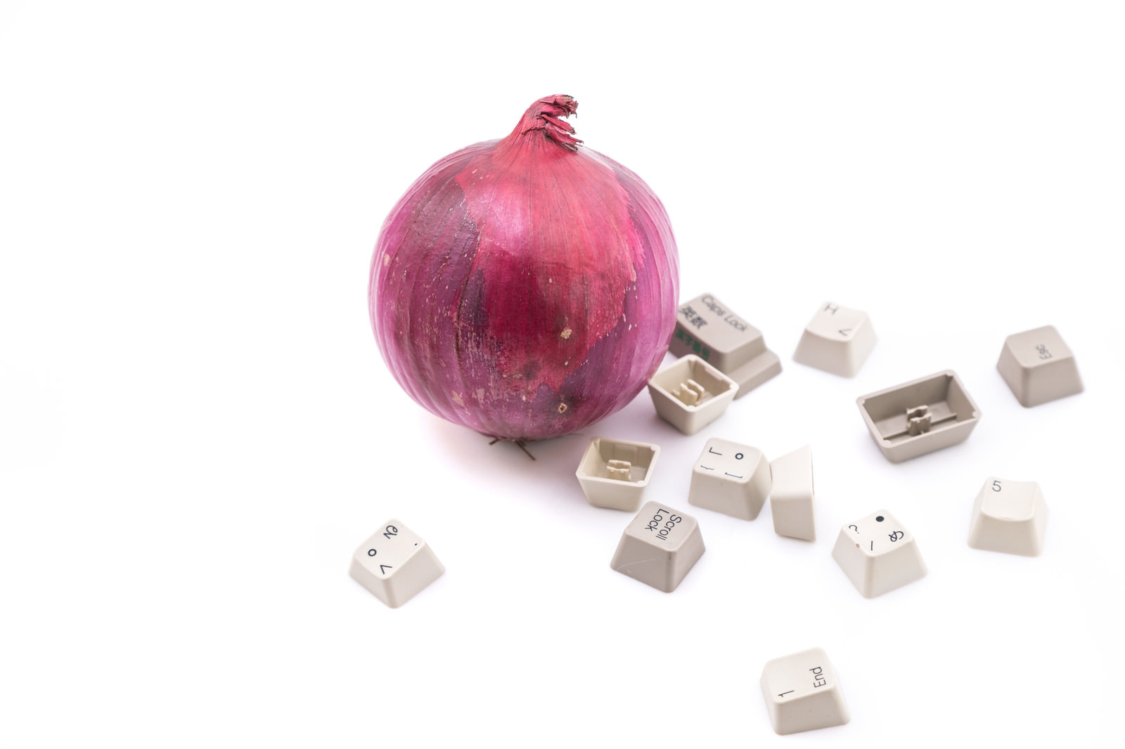 「散乱したキーボードと紫玉葱」の写真