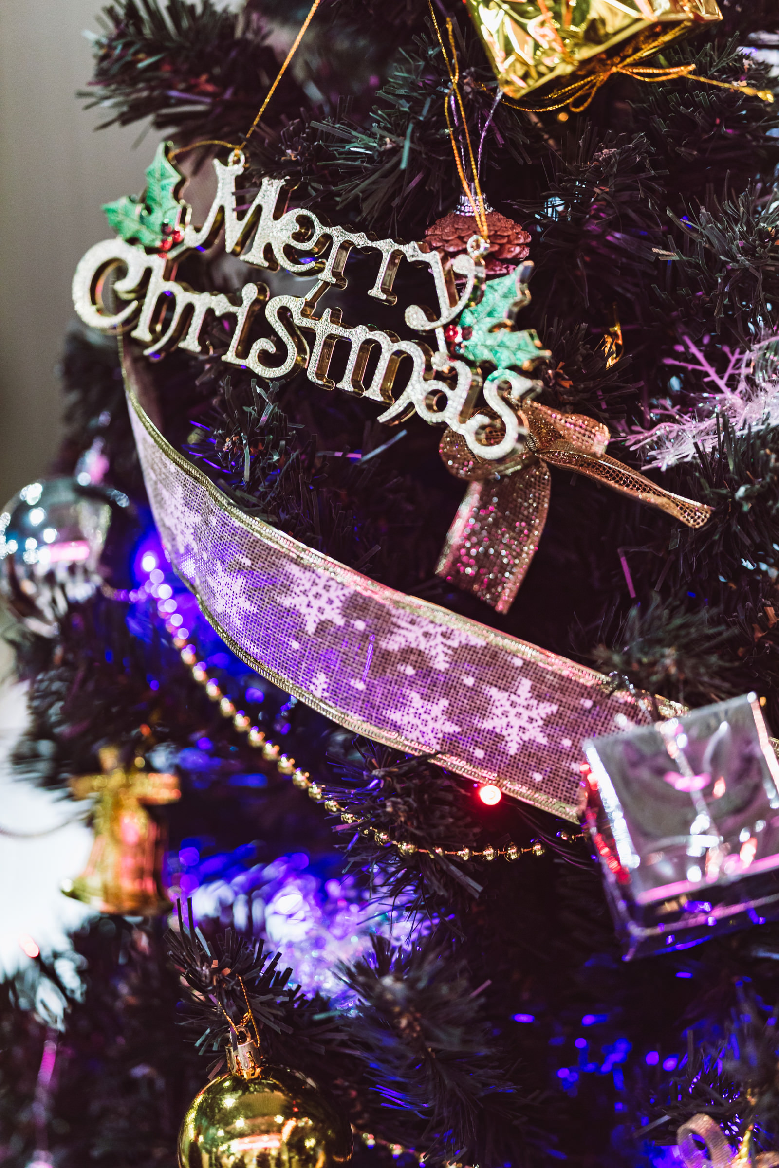 クリスマスツリーの電飾の無料の写真素材 フリー素材 をダウンロード ぱくたそ クリスマスツリーの電飾の無料の写真素材 フリー素材 をダウンロード ぱくたそ