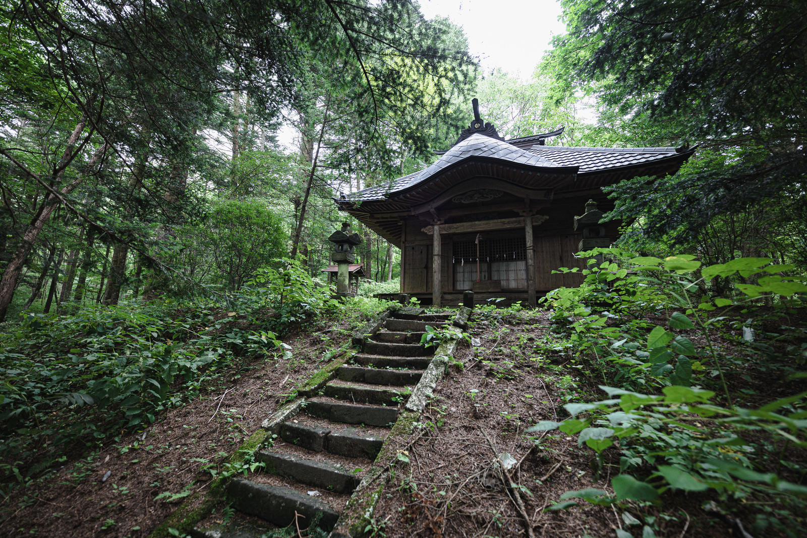 林の開けた場所に建てられたお堂の写真素材 ぱくたそ