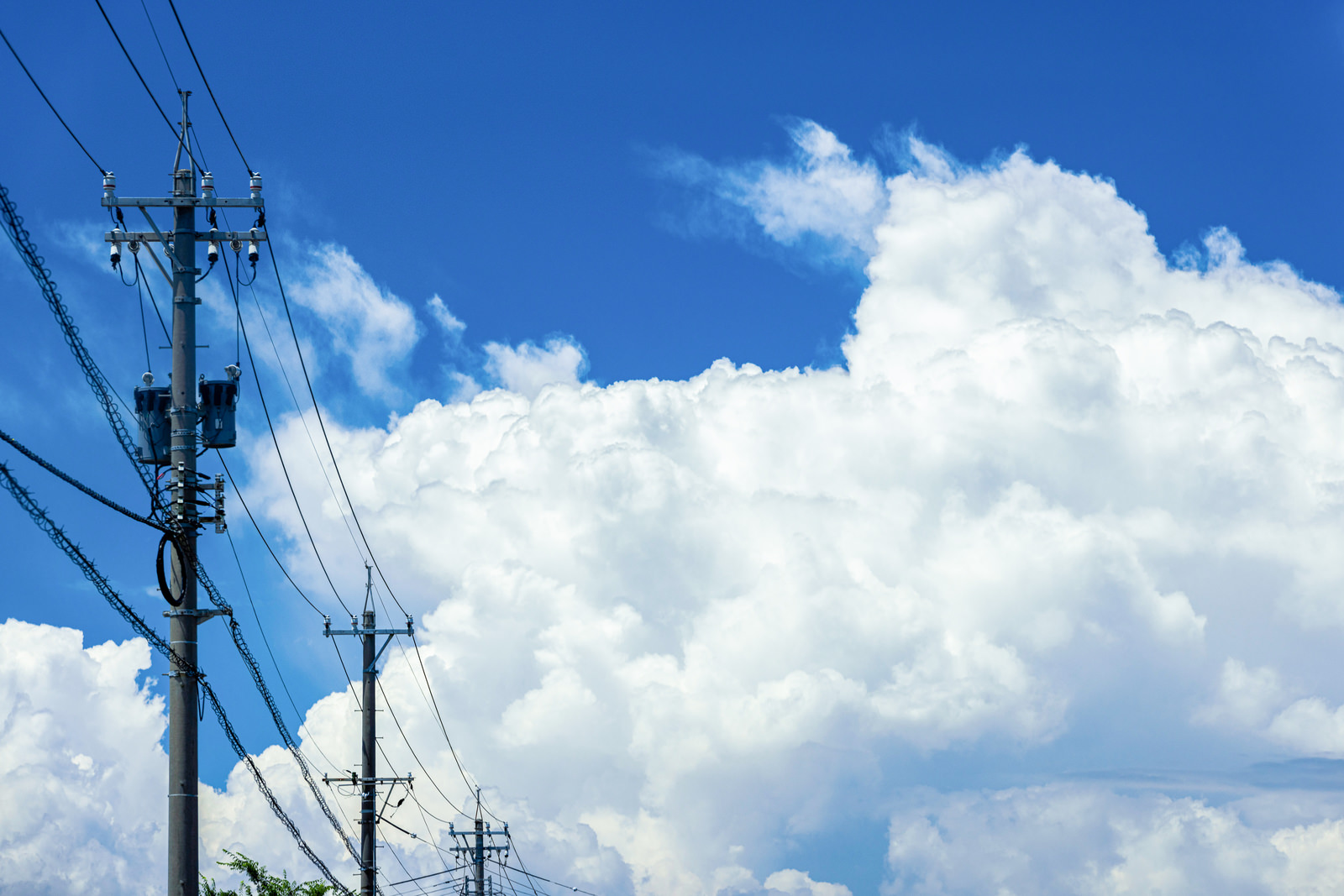 「電柱と大きな入道雲」の写真