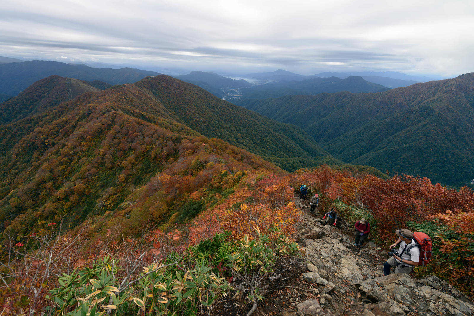 ãç´èããè°·å·å²³ã®ç¨ç·ãæ­©ãç»å±±èãã®åç