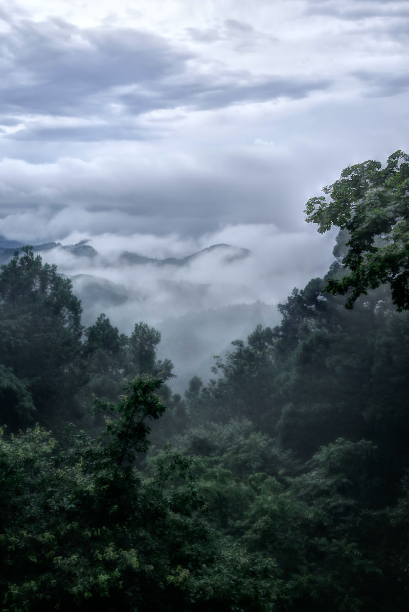 「渓谷と雲海 | フリー素材のぱくたそ」の写真