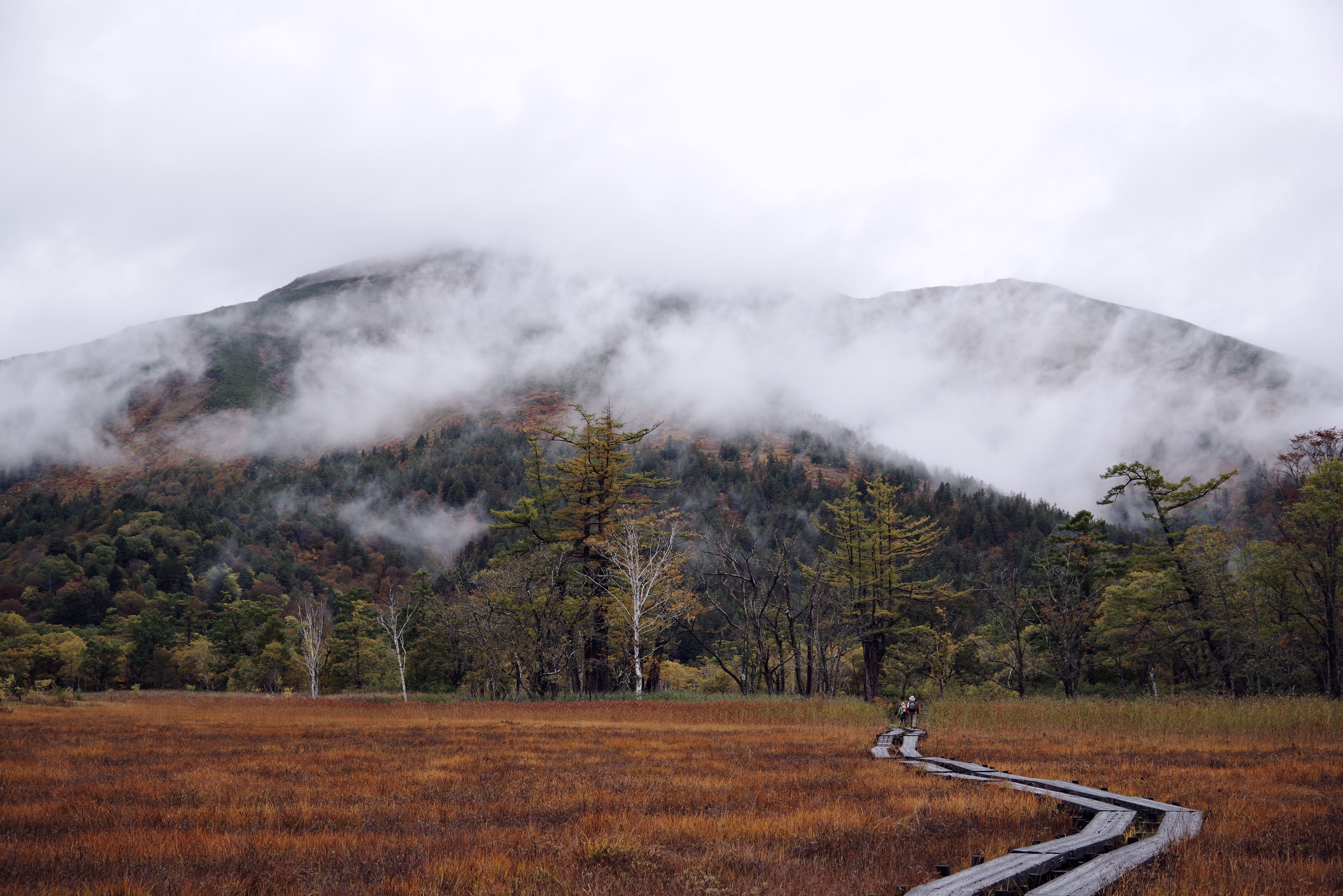 紅葉する尾瀬ヶ原 至仏山 の写真素材 ぱくたそ