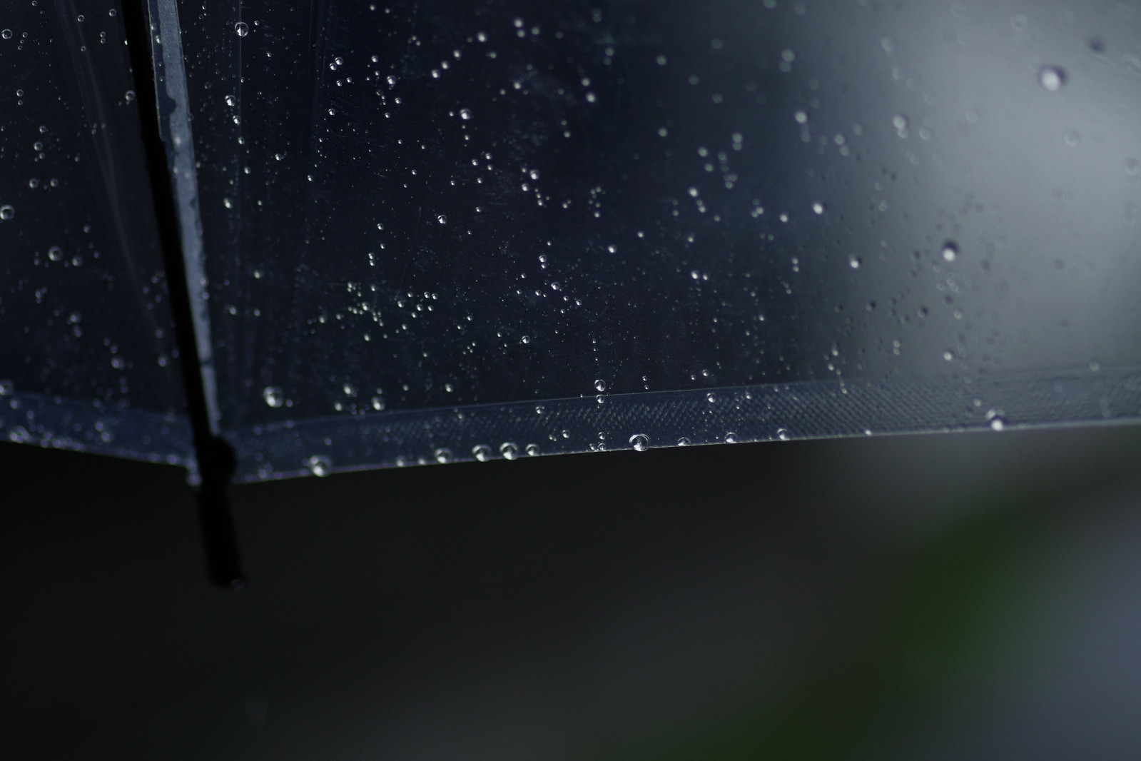 「透明な傘に残る雨のしずく」の写真
