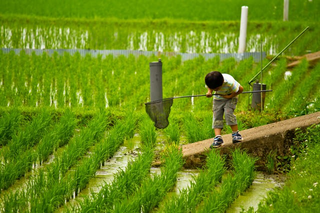 虫取り網を持った少年