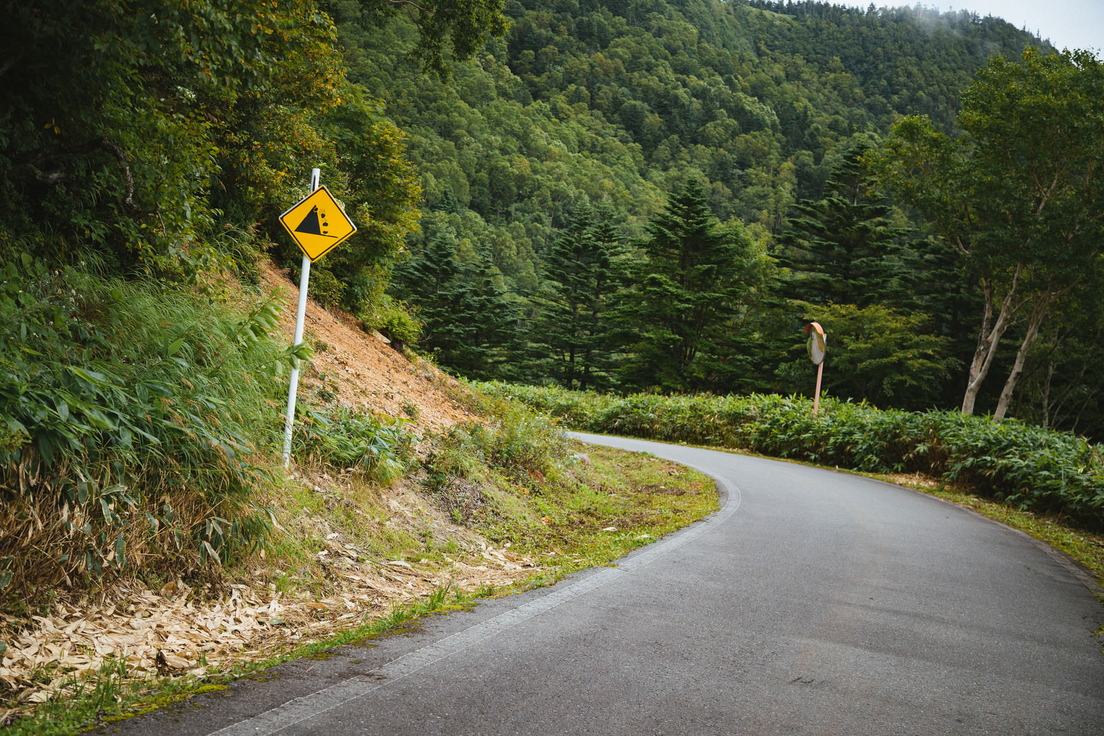 「落石注意の看板と峠道」の写真