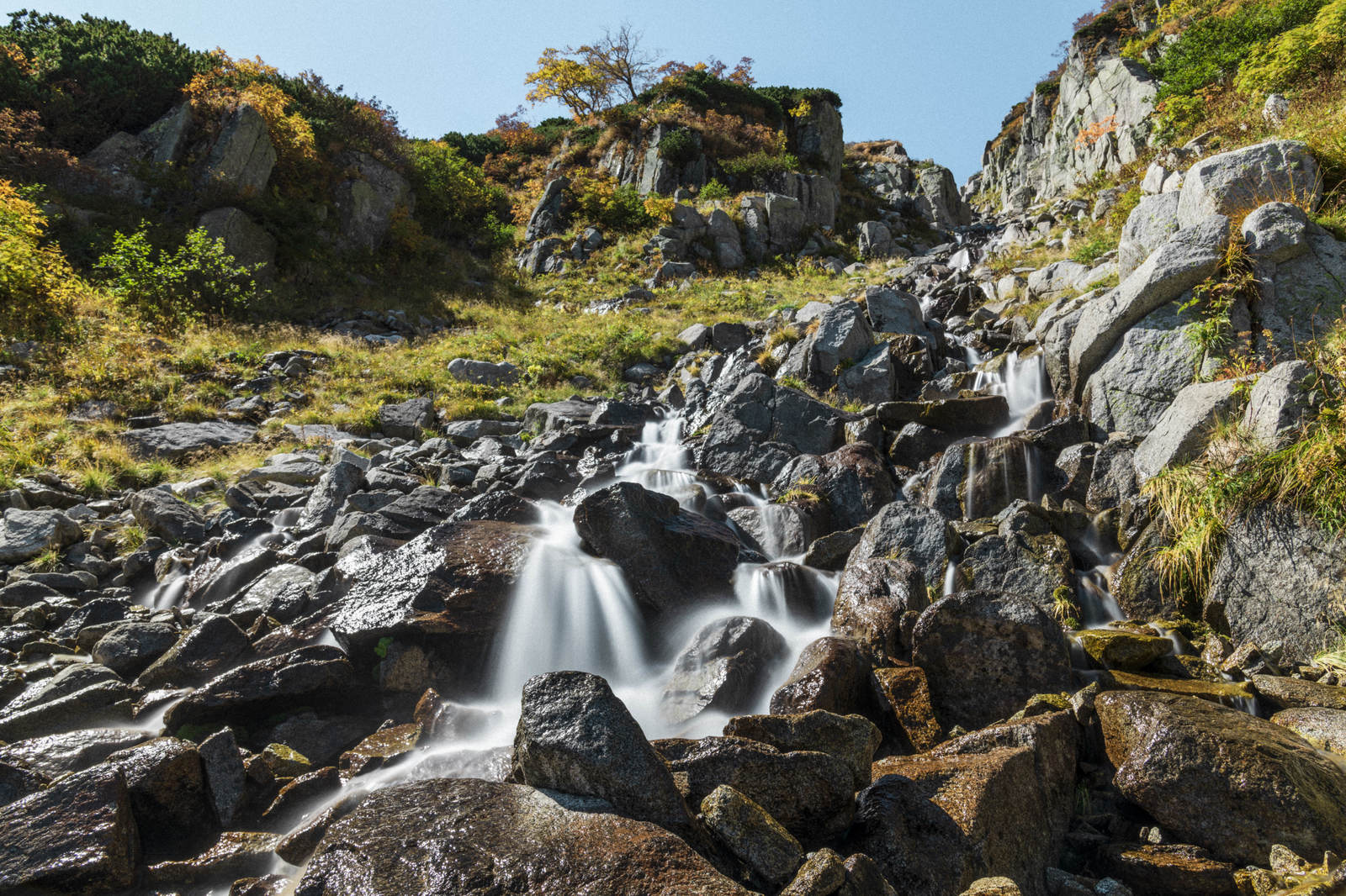 「木曽駒ヶ岳稜線から染み出る渓流 | フリー素材のぱくたそ」の写真