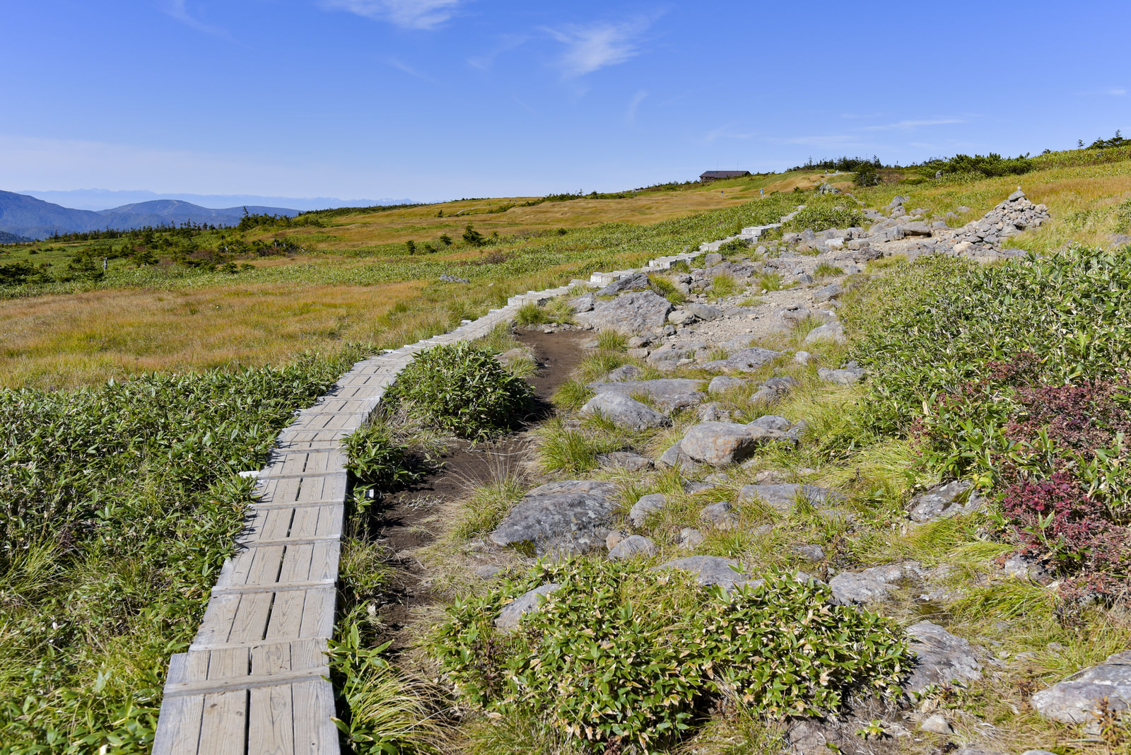 「苗場山山頂へと続く木道」の写真