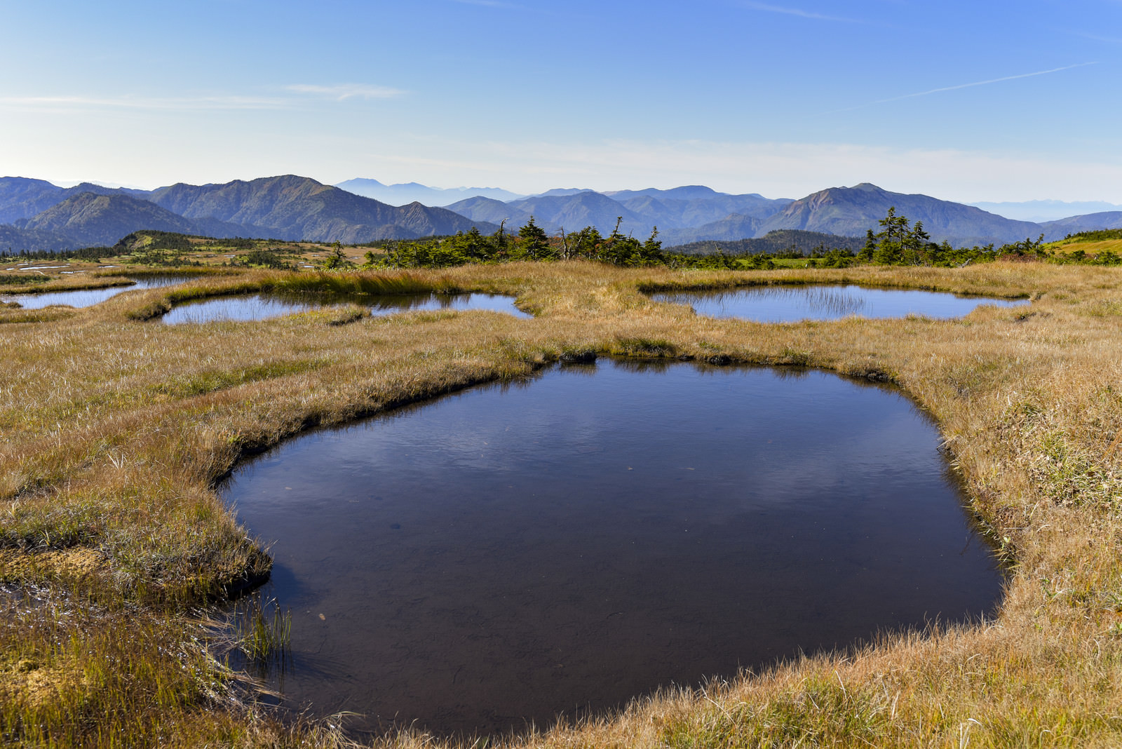 顔のような形をした苗場山の池塘の写真素材 ぱくたそ