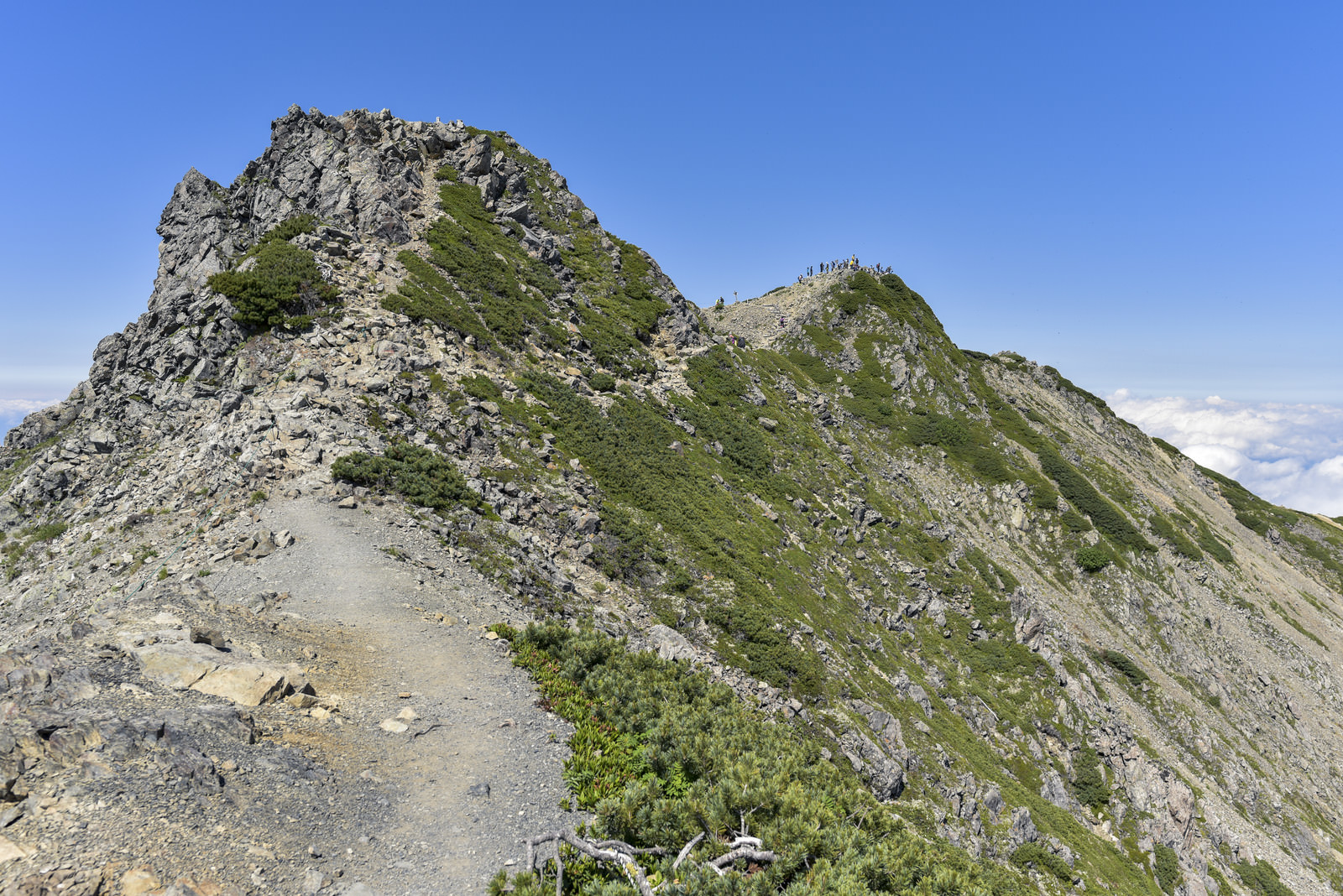岩とハイマツが広がる仙丈ヶ岳稜線の道の写真素材 ぱくたそ