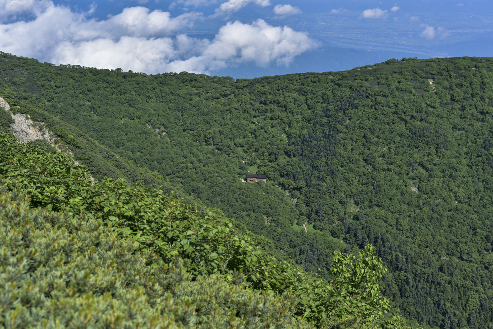 「森に包まれた山小屋（仙丈ヶ岳） | フリー素材のぱくたそ」の写真