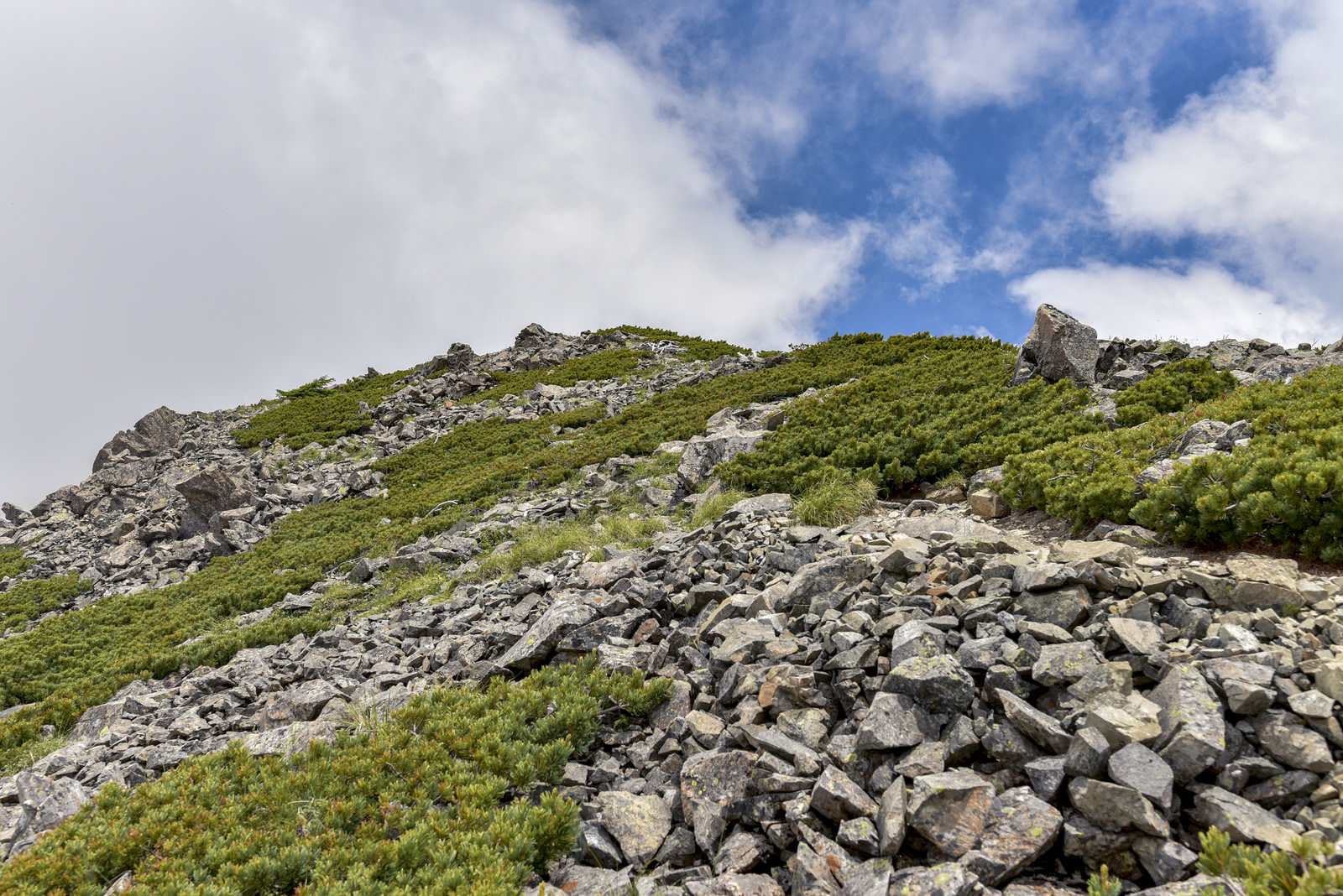石とハイマツだけが広がる仙丈ヶ岳の稜線の写真素材 ぱくたそ