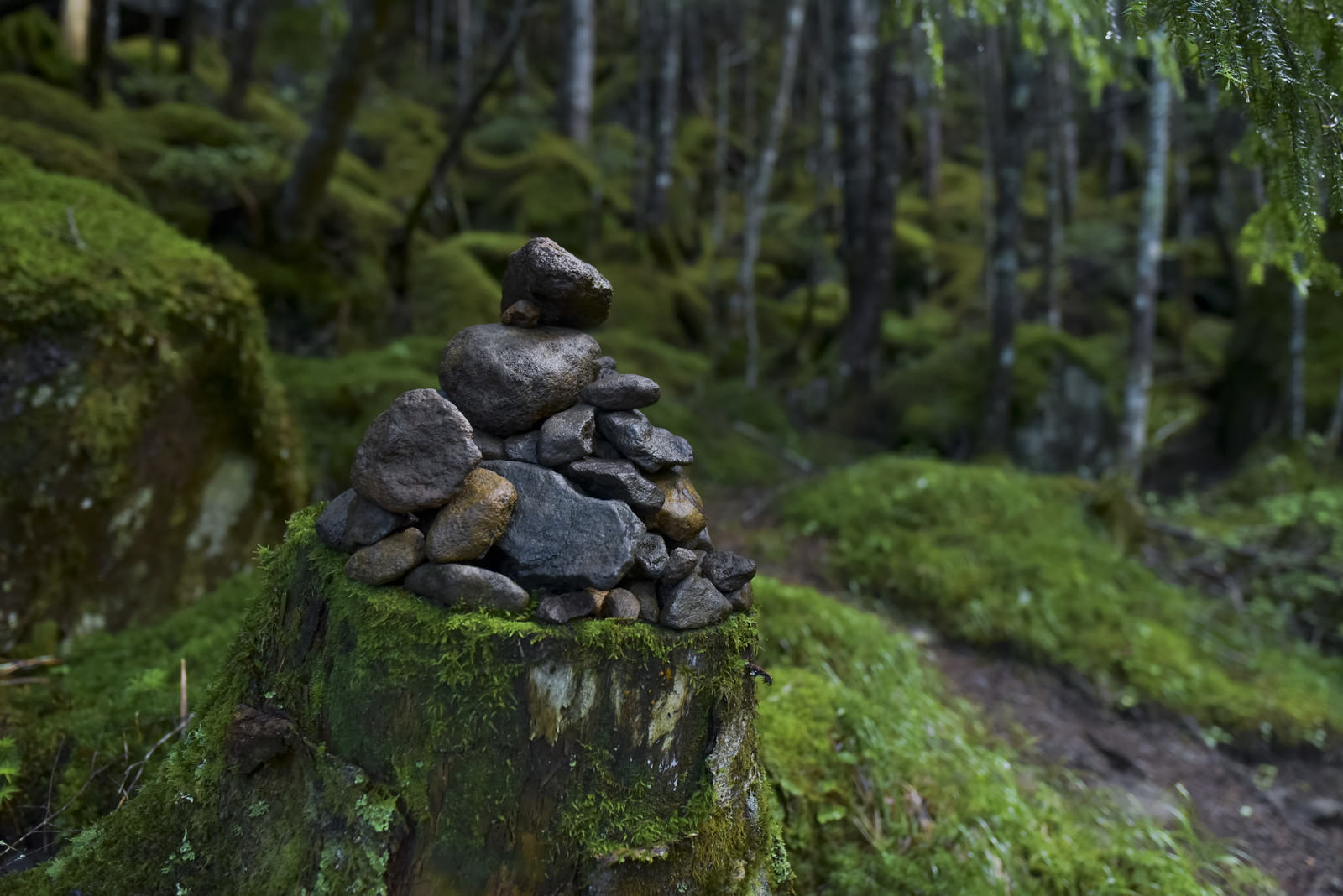 「八ヶ岳の森に積まれたケルン（赤岳） | フリー素材のぱくたそ」の写真