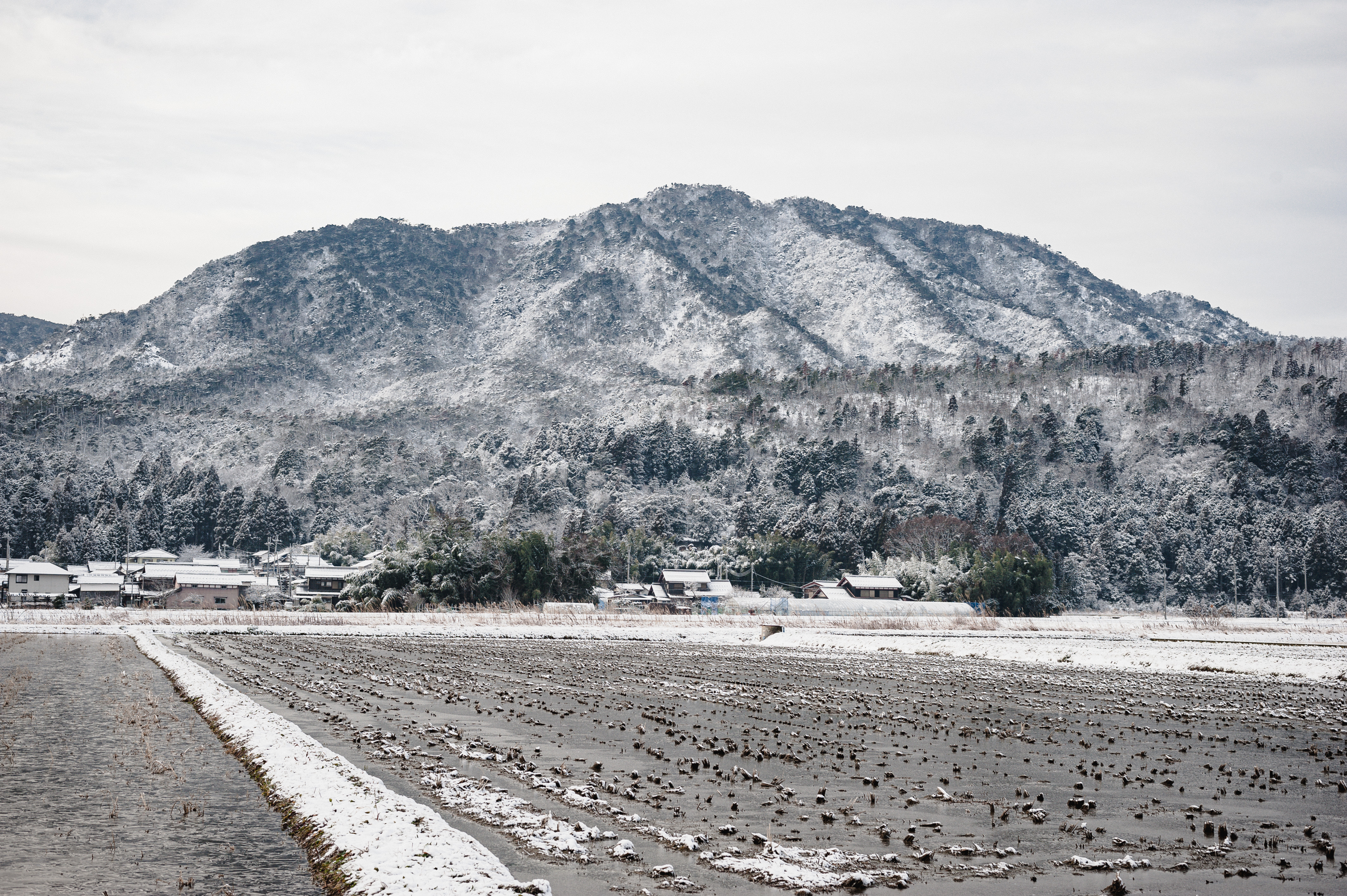 冬の水田と雪化粧した風景の写真素材 ぱくたそ