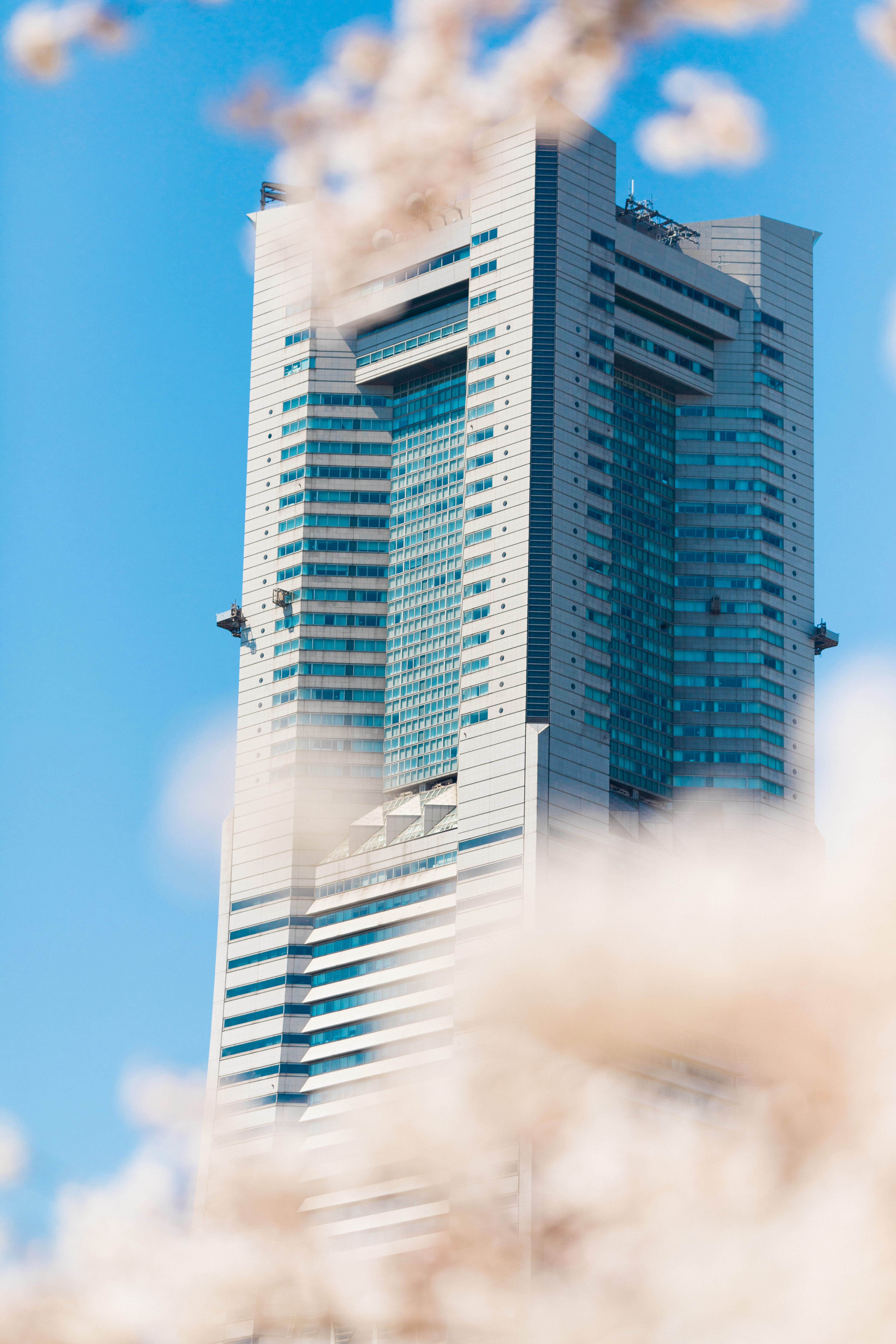 桜の間から見えるランドマークタワーの写真素材 ぱくたそ