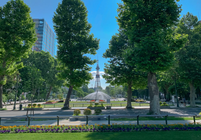 さっぽろテレビ塔が見える大通り公園の写真素材 ぱくたそ