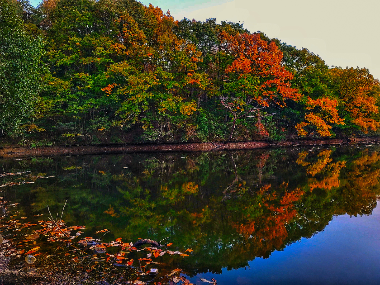 「水面に映る夕焼け色に染まる紅葉した木々」の写真