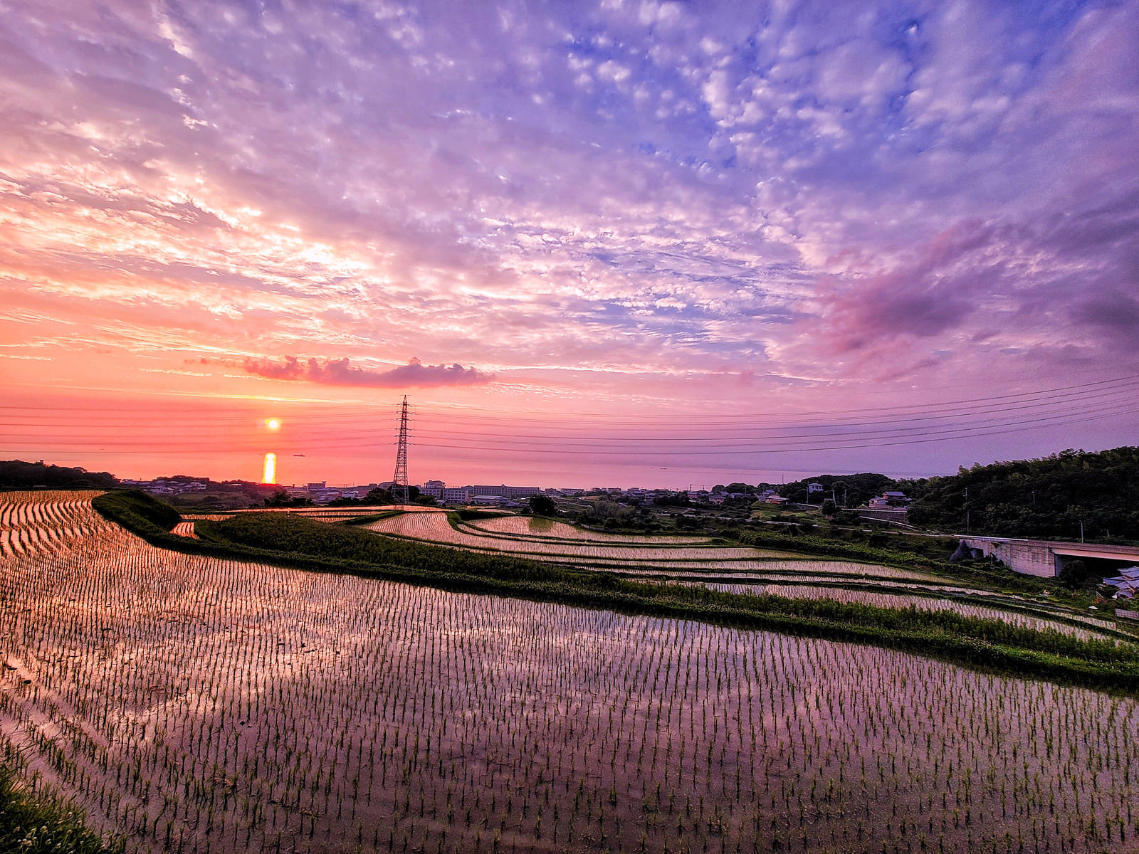 作家もの　付け下げ　風景模様　夕焼け　夕陽　遠山　水辺　着物　092w d 作家もの付け下げ風景模様夕焼け夕陽遠山水辺着物092w d