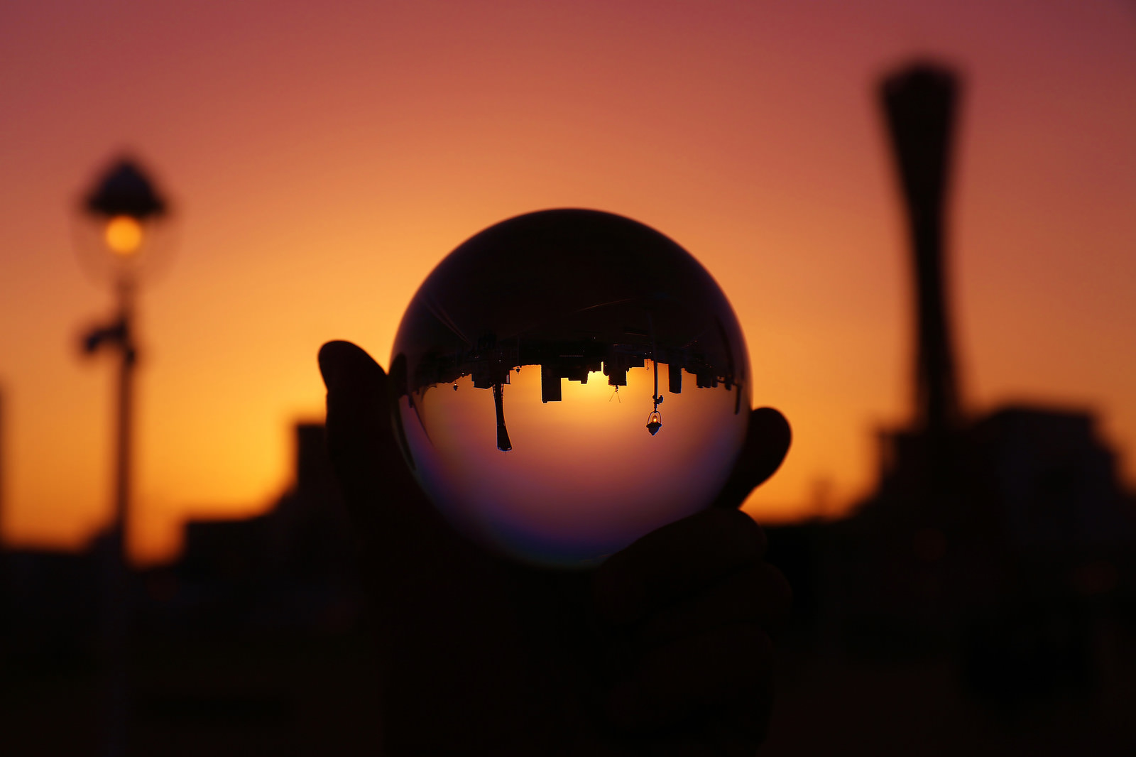 ãæ°´æ¶ã¨å¤ç¼ãã·ã«ã¨ããã