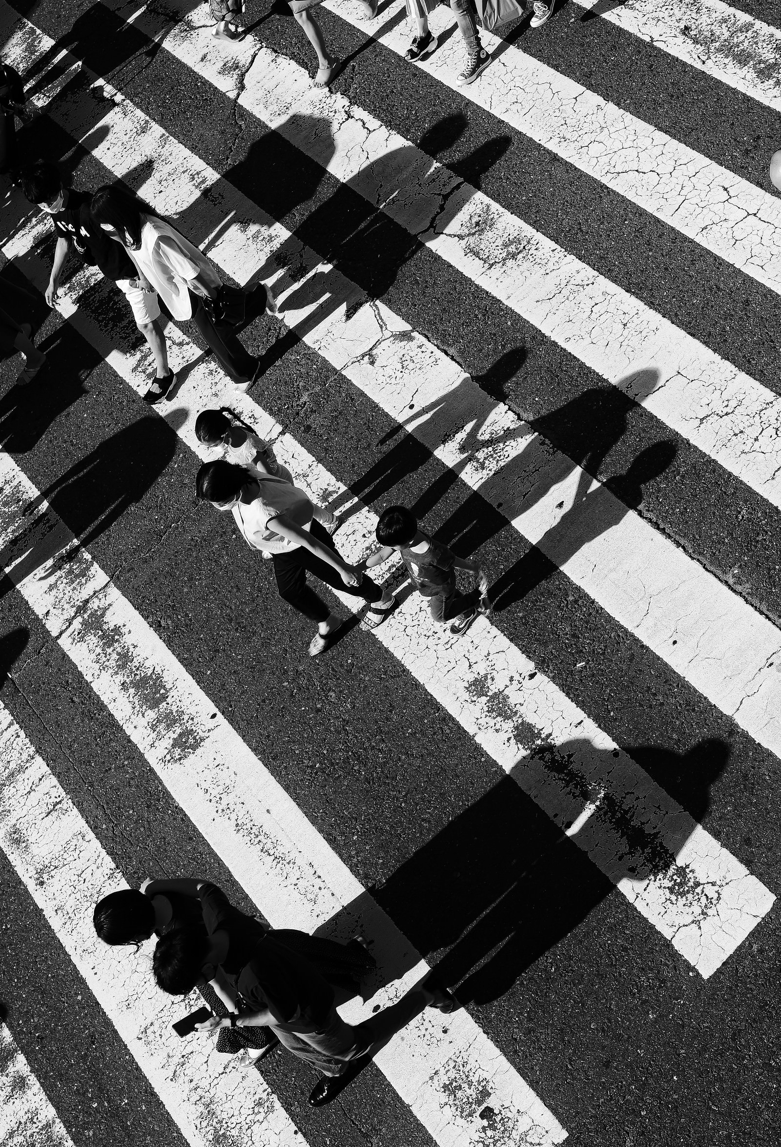 横断歩道に映る家族の影の写真素材 ぱくたそ