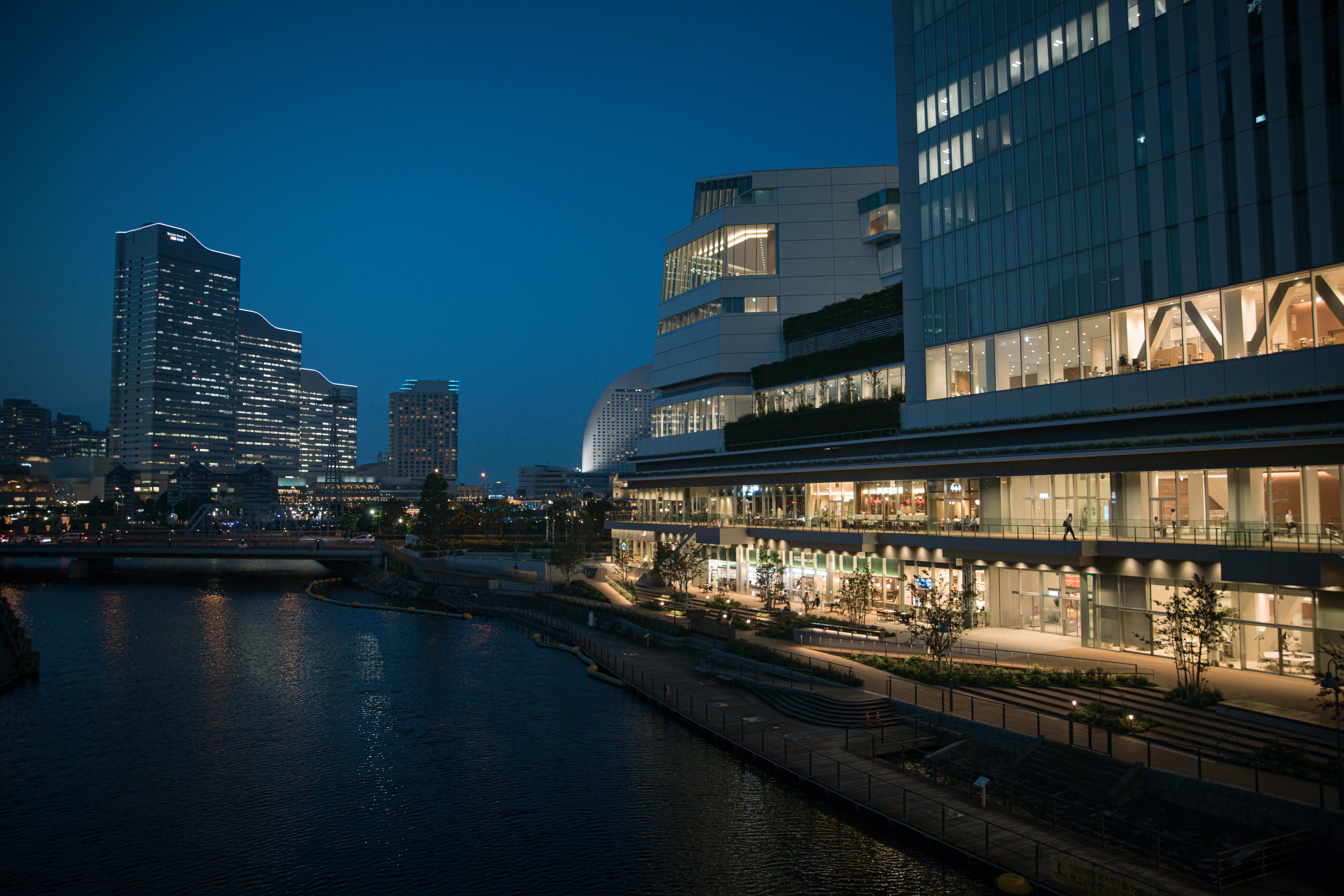 横浜市役所ラクシスフロントの夜景の写真を無料ダウンロード フリー素材 ぱくたそ