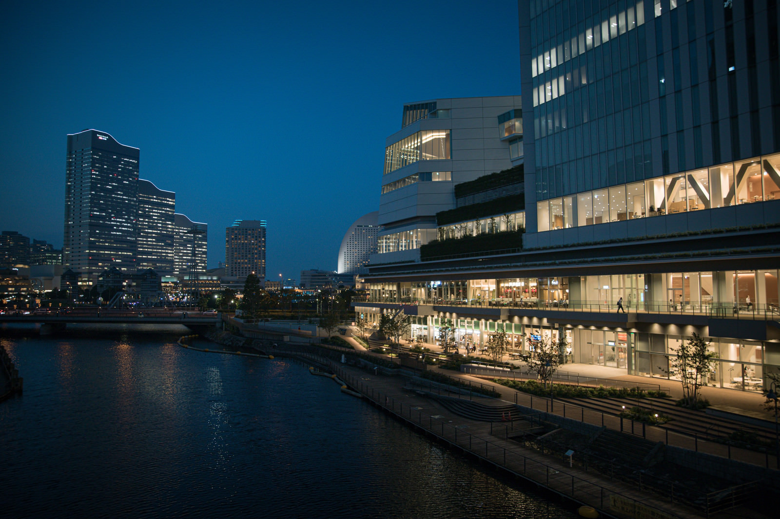横浜市役所ラクシスフロントの夜景の写真素材 ぱくたそ 横浜市役所ラクシスフロントの夜景の写真素材 ぱくたそ
