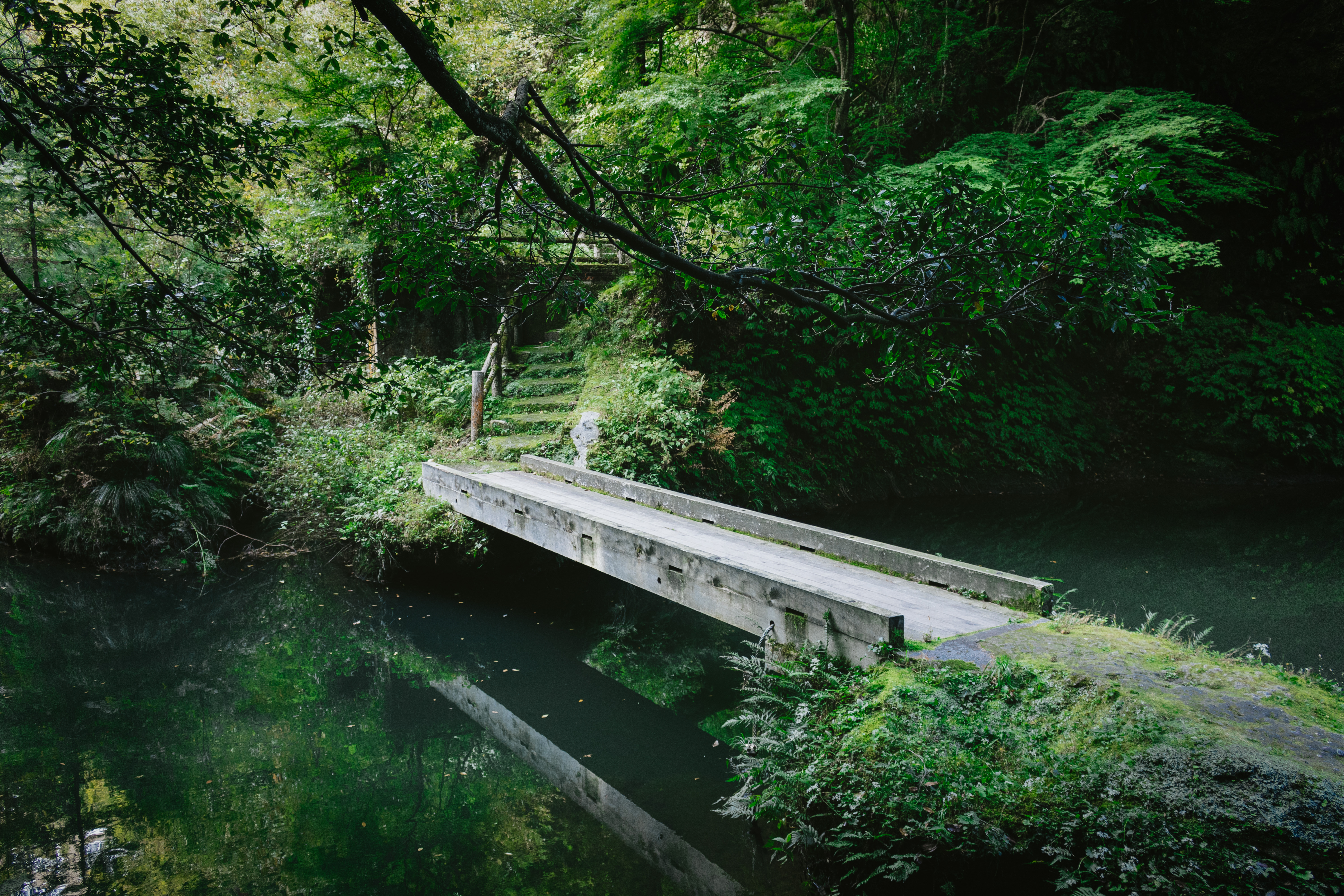 森の中の小さな橋の写真を無料ダウンロード フリー素材 ぱくたそ