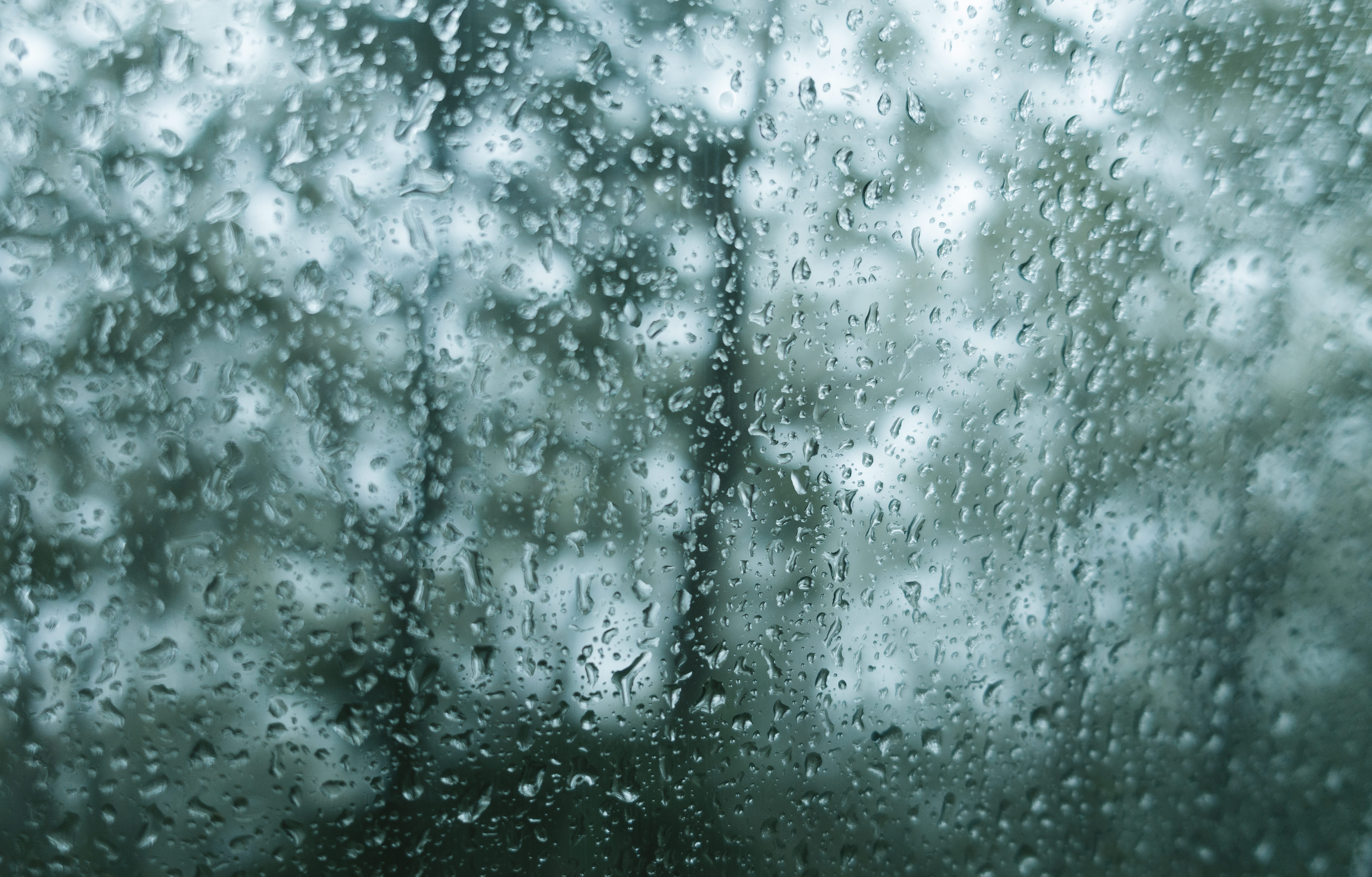 雨が降ってもどガラスが濡れるの写真 画像 フリー素材 ぱくたそ