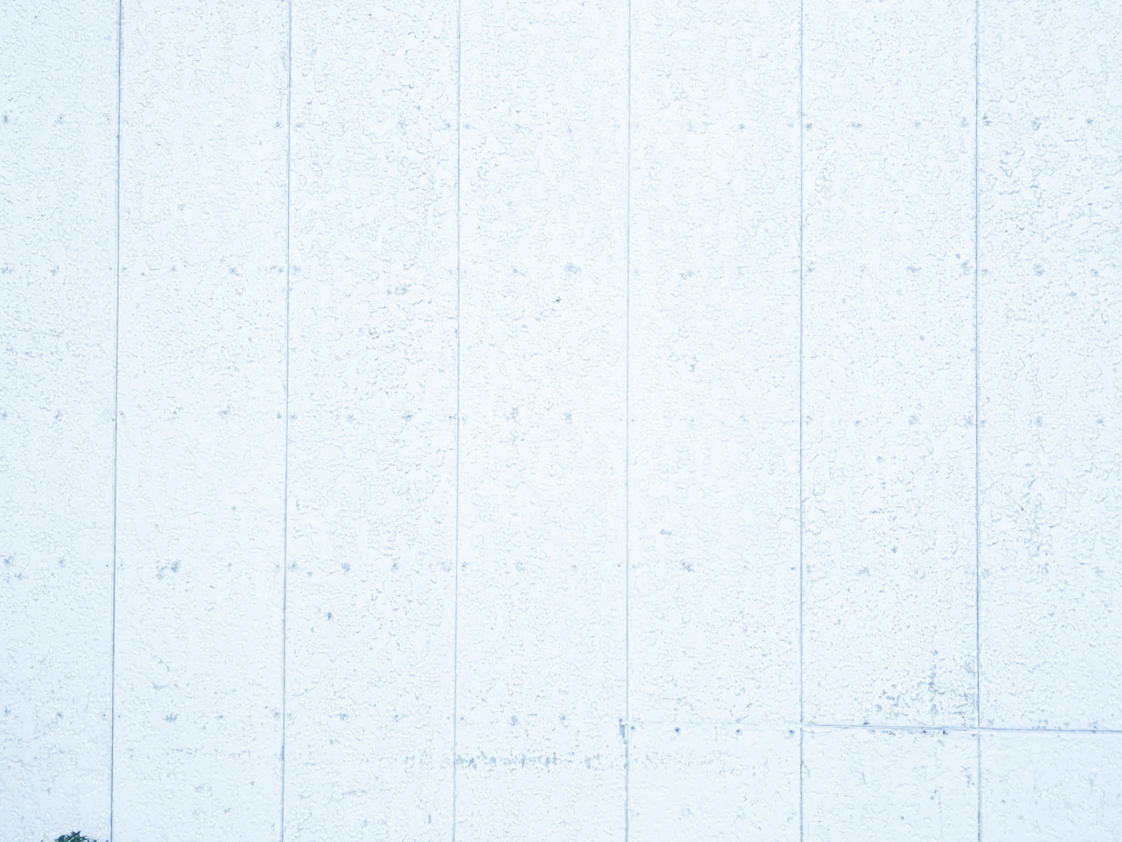 「白色で塗装された板壁（テクスチャ）」の写真