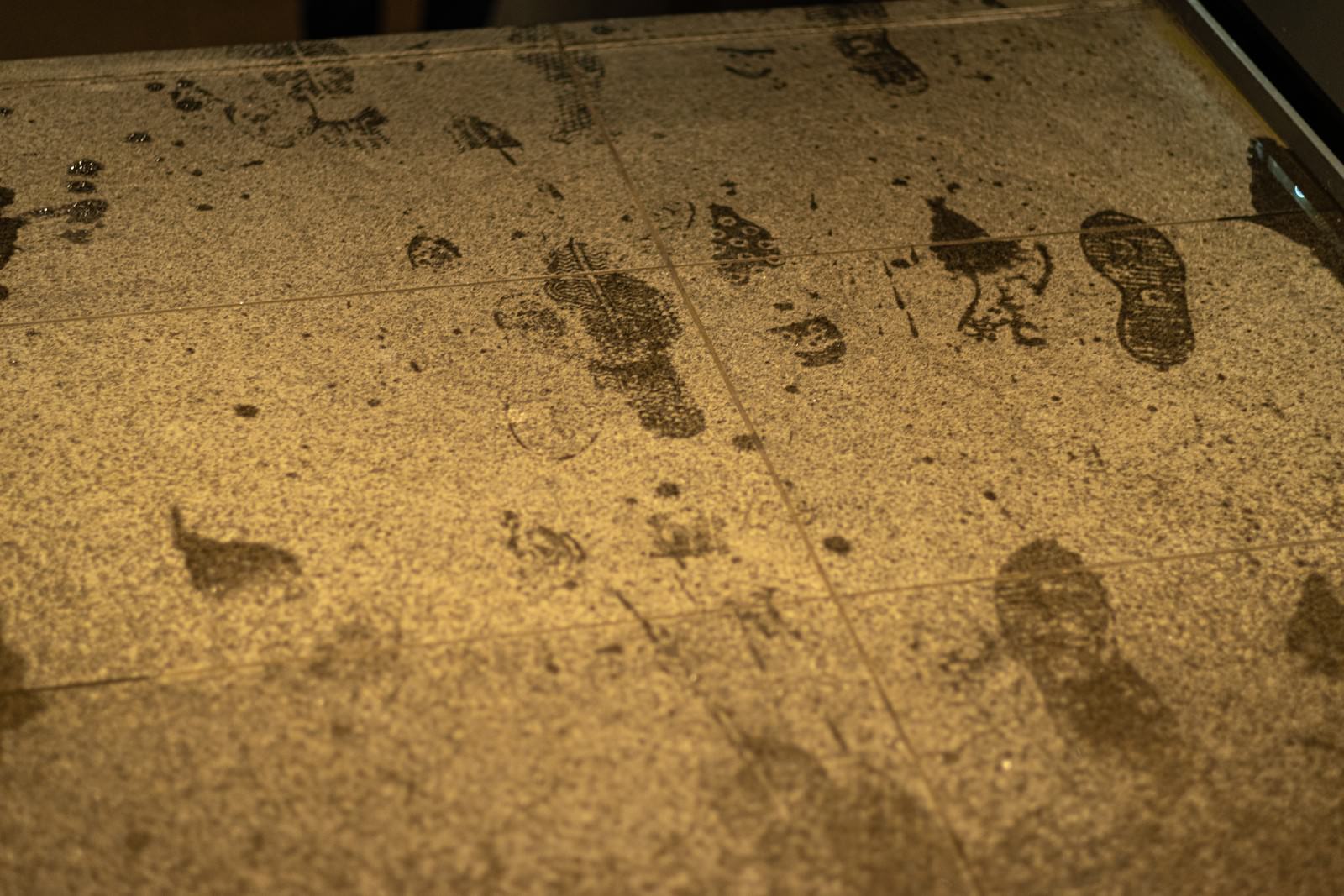 「床に付いた濡れた靴跡」の写真