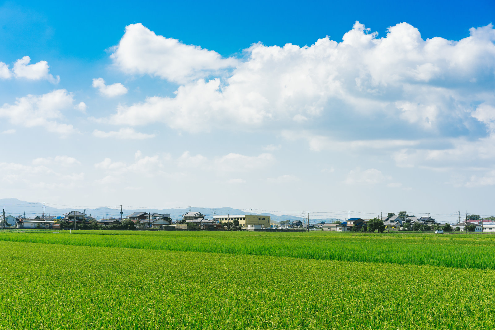 田んぼと住宅街の無料の写真素材（フリー素材）をダウンロード - ぱくたそ